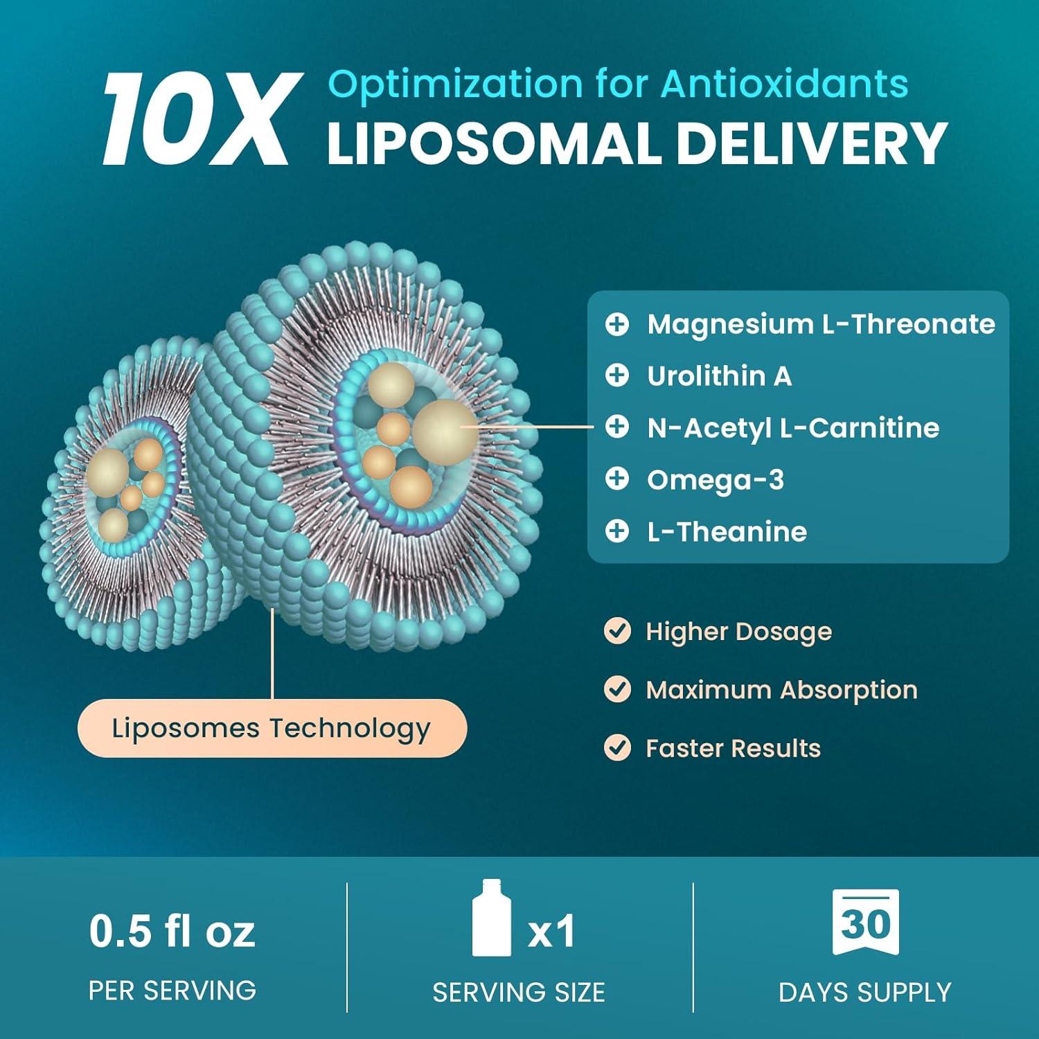 MEGNETA Magnesium L-Threonate Liquid, 2000mg Magnesium L-Threonate, Liposomal for High Absorption, with Urolithin A, N-Acetyl L-Carnitine & Omega-3, Brain, Memory, Focus & Sleep Support, 30 Pouches | Buy Now with Express International MEGNETA Magnesium L-Threonate Liquid, 2000mg Magnesium L-Threonate, Liposomal for High Absorption, with Urolithin A, N-Acetyl L-Carnitine & Omega-3, Brain, Memory, Focus & Sleep Support, 30 Pouches | Buy Now with Express International
