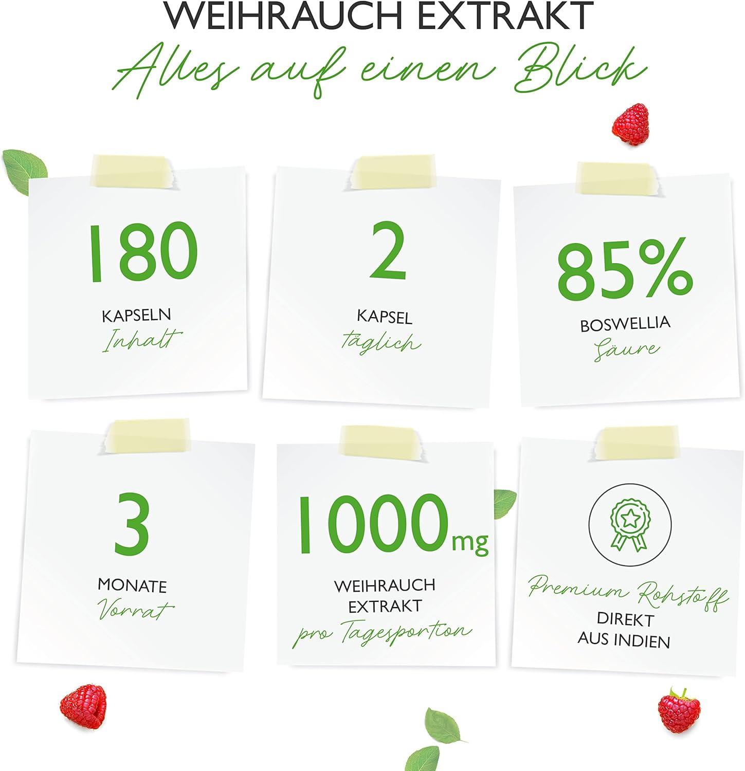 Spermidina 1,6 Mg Da Estratto Di Germe Di Grano (240 Capsule Da 733mg - Foto 11