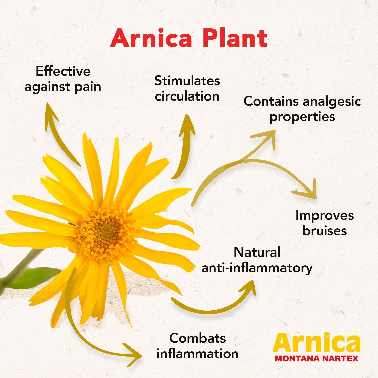 arnica plant benefits Sustainably Wild-Harvested Arnica Oil main image 1