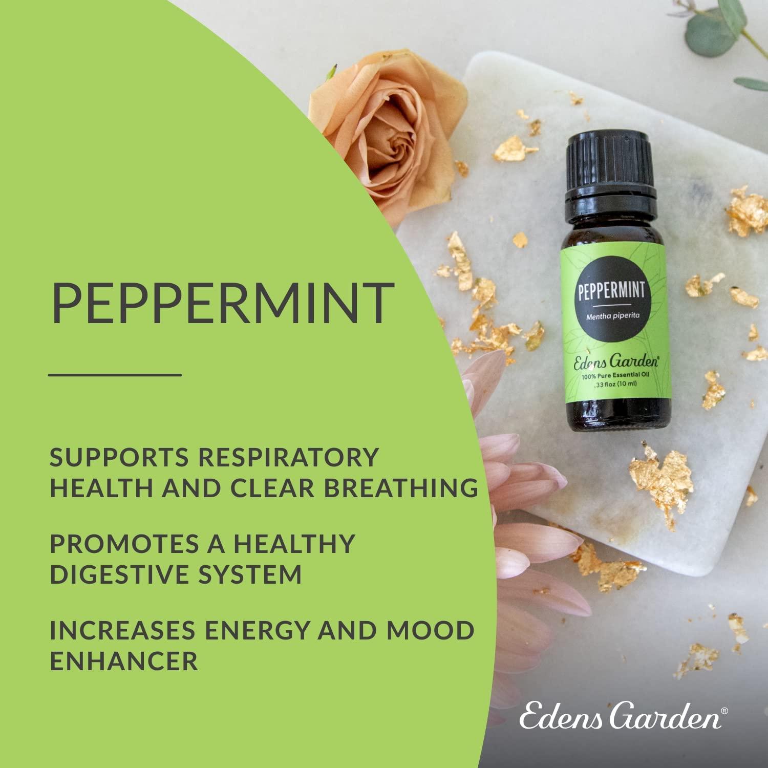 Edens Garden Peppermint Essential Oil, 100% Pure Therapeutic Grade  (Undiluted Natural/ Homeopathic Aromatherapy Scented Essential Oil Singles)  10 ml 0.33 Fl Oz (Pack of 1)