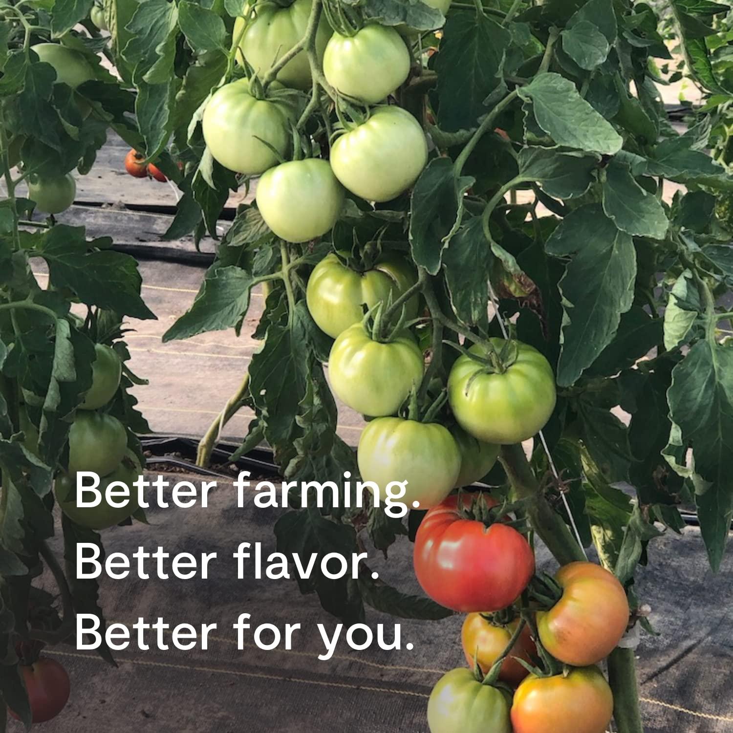 Tomato Bliss Original Tomato Basil Heirloom Tomato Soup All Natural NonGMO Vegan DairyFree