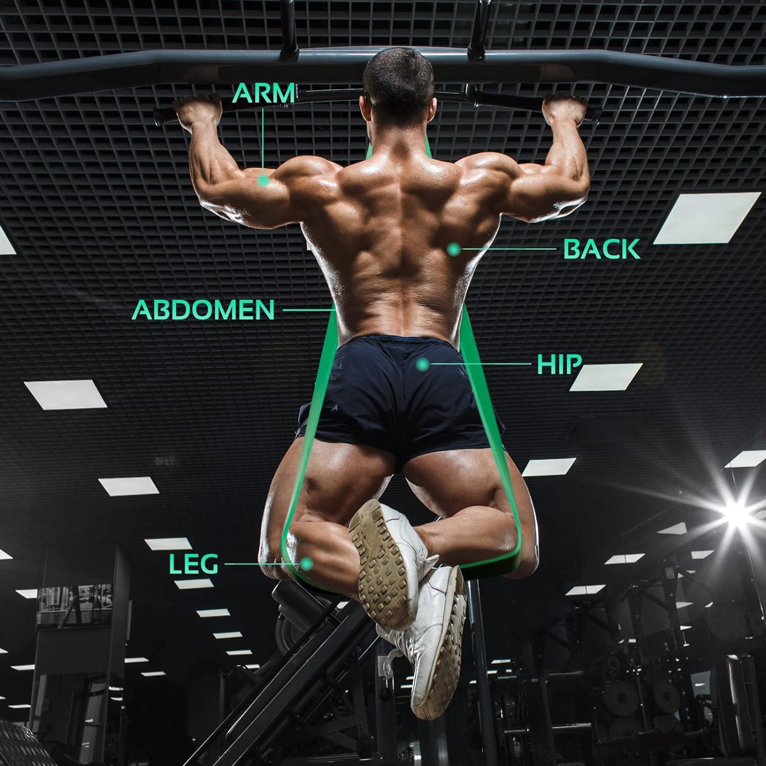 thefitlife resistance the fit life exercise bands