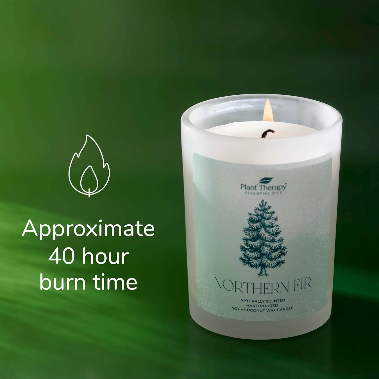 Plant Therapy Northern Fir Candle - Thumbnail 4