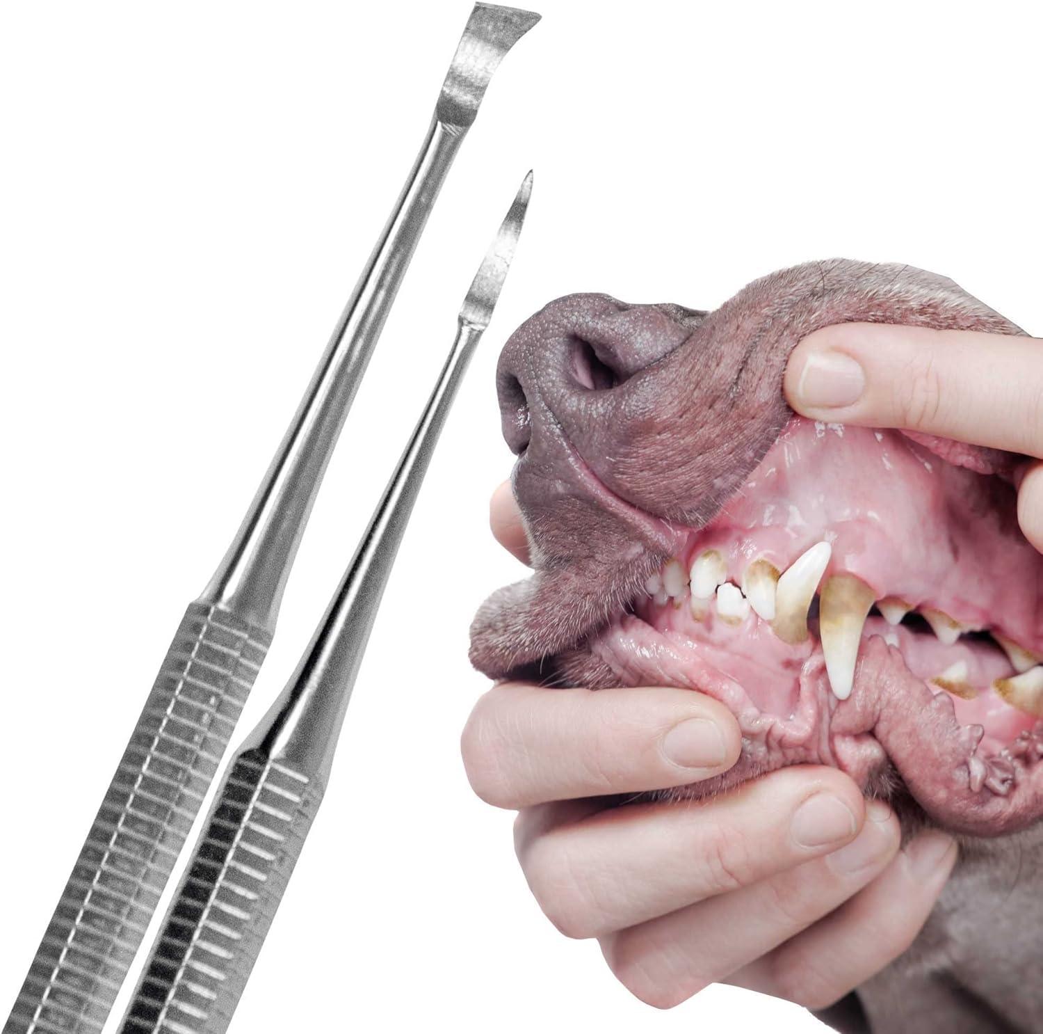 Top 5 Best Dog Tartar Remover For Teeth (Expert Reviewed Picks) of 2026