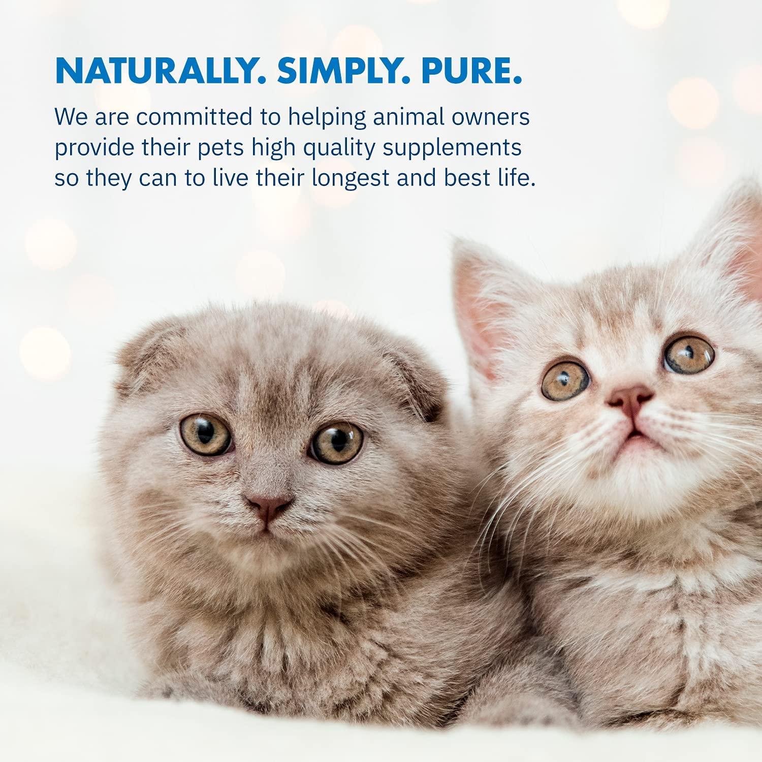 Total Digest Feline Probiotics & Enzymes AllNatural Digestive