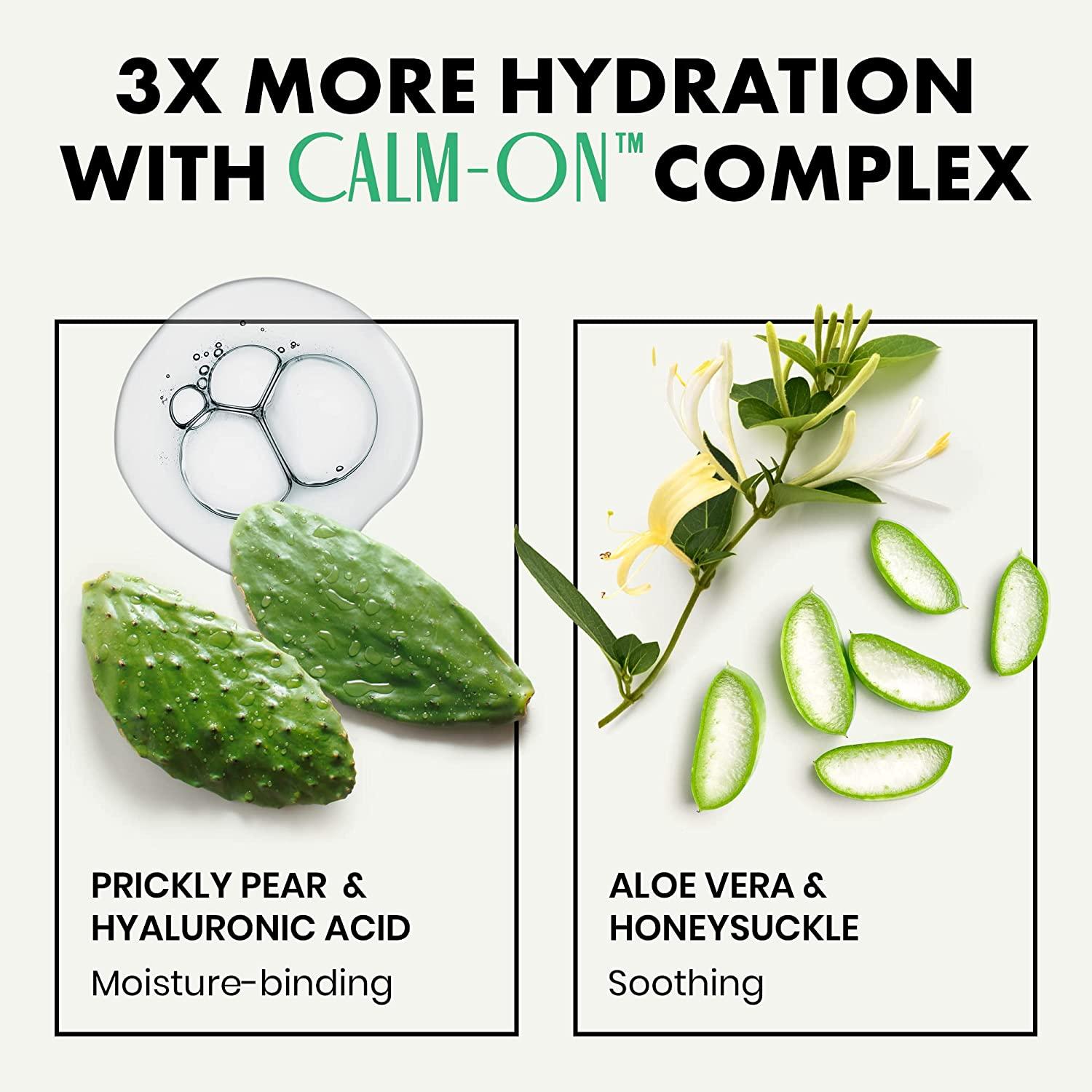 cactus crystal Crystal Growing Kit main image 0