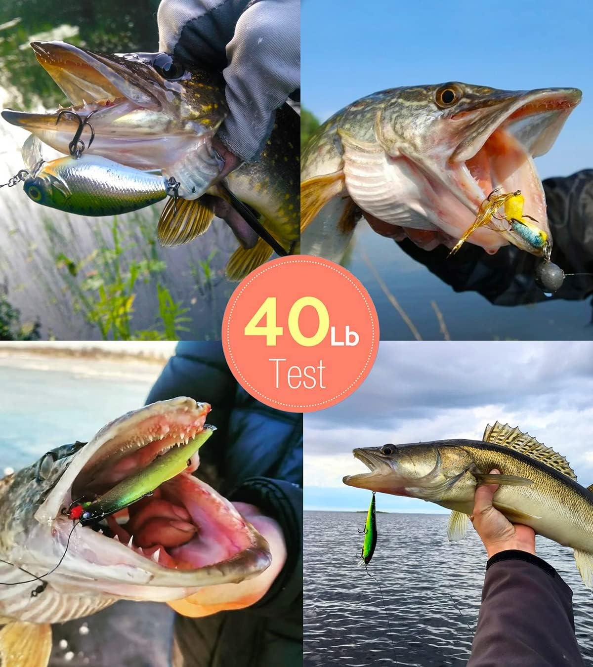  40 Pound Fishing Line