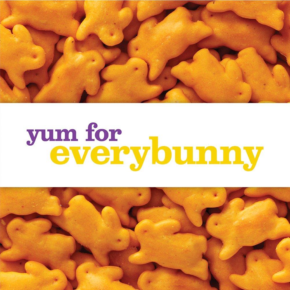 Annie's Cheddar Bunnies 5 Pack - Organic Lunchtime Snack - Yumble