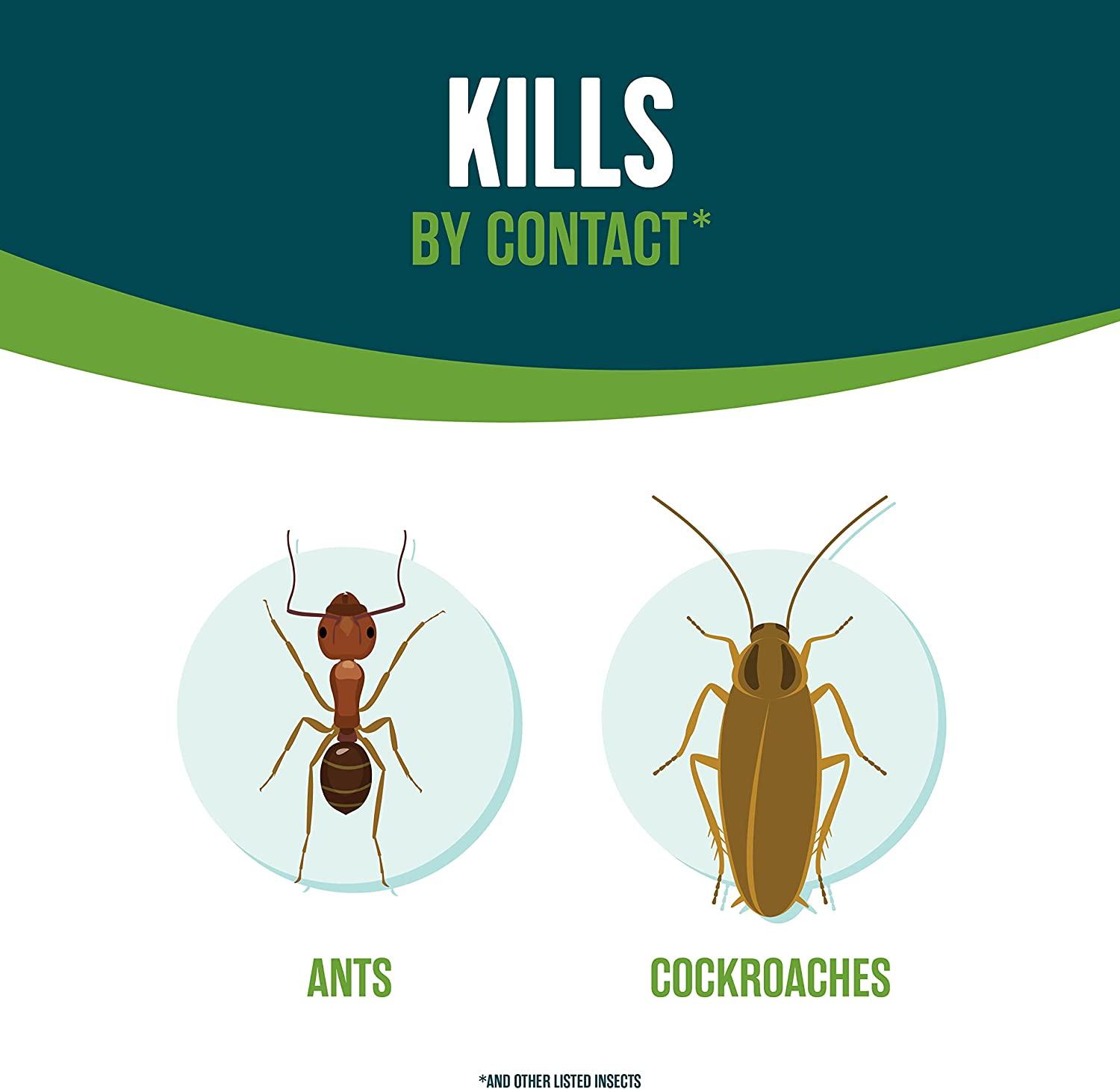 Ecologic Home Insect Control, 64 fl oz, Kills Ants, Cockroaches