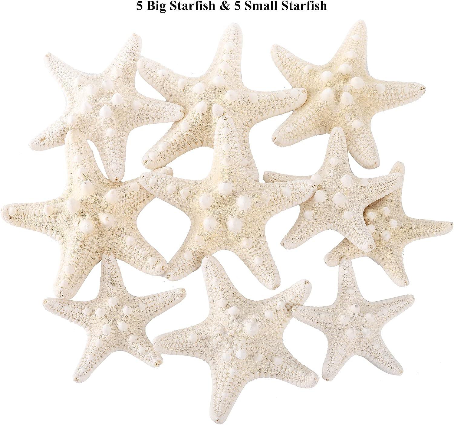 Jangostor 20 Pcs 2-6 inch Starfish Mixed Ocean Beach Starfish-Natural Colorful Seashells Starfish Perfect for Wedding Decor Beach Theme Party, Home