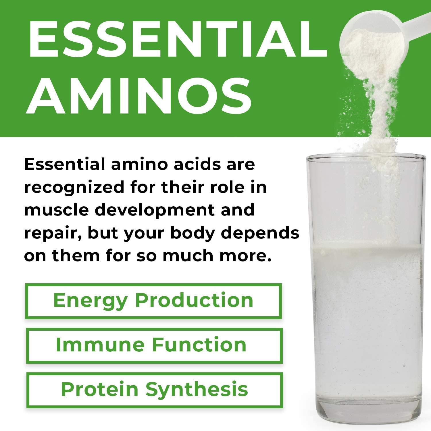 Nextrino Essential Aminos EAA Supplement, Transparent Ingredients