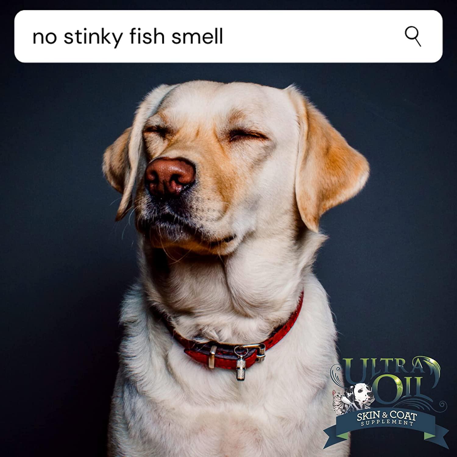 Ultra Oil Skin and Coat Supplement for Dogs & Cats Hemp Seed