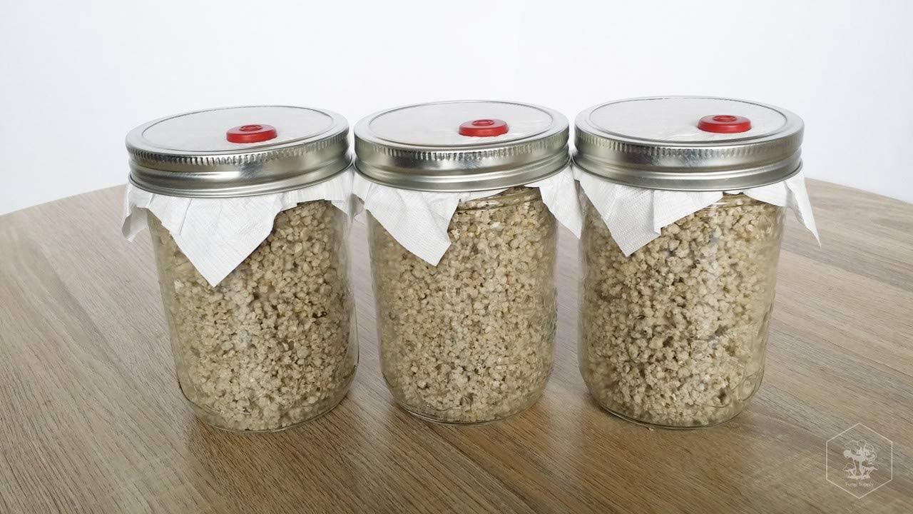 BRF PF Tek Brown Rice Flour Mushroom Substrate Half Pint Jar