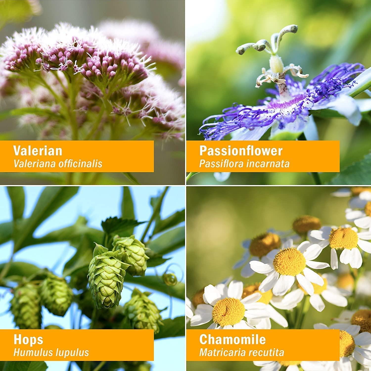 Herb Pharm Relaxing Sleep Herbal Formula with Valerian Liquid Extract 4 Ounce 4 Fl Oz (Pack of 1)