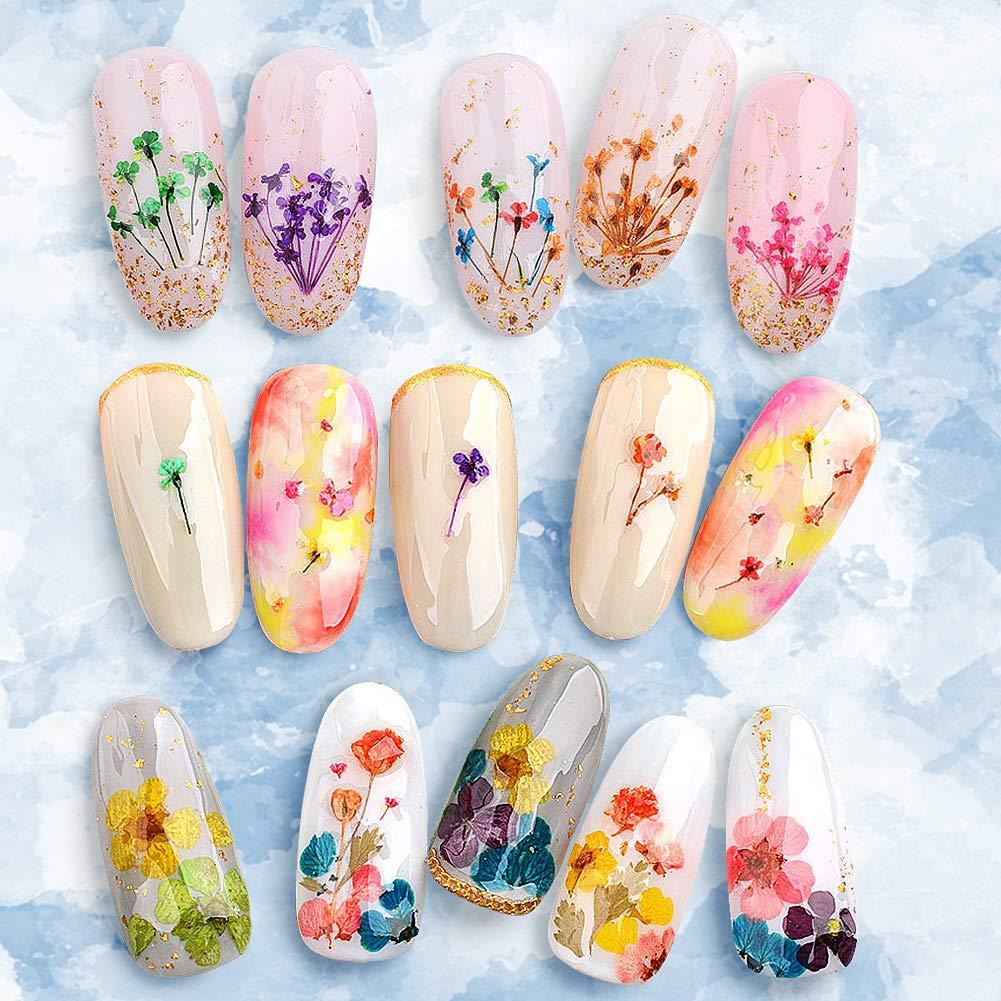 1 Box Dried Flowers for Nail Art UNIME 12 Colors Dry Flowers Mini