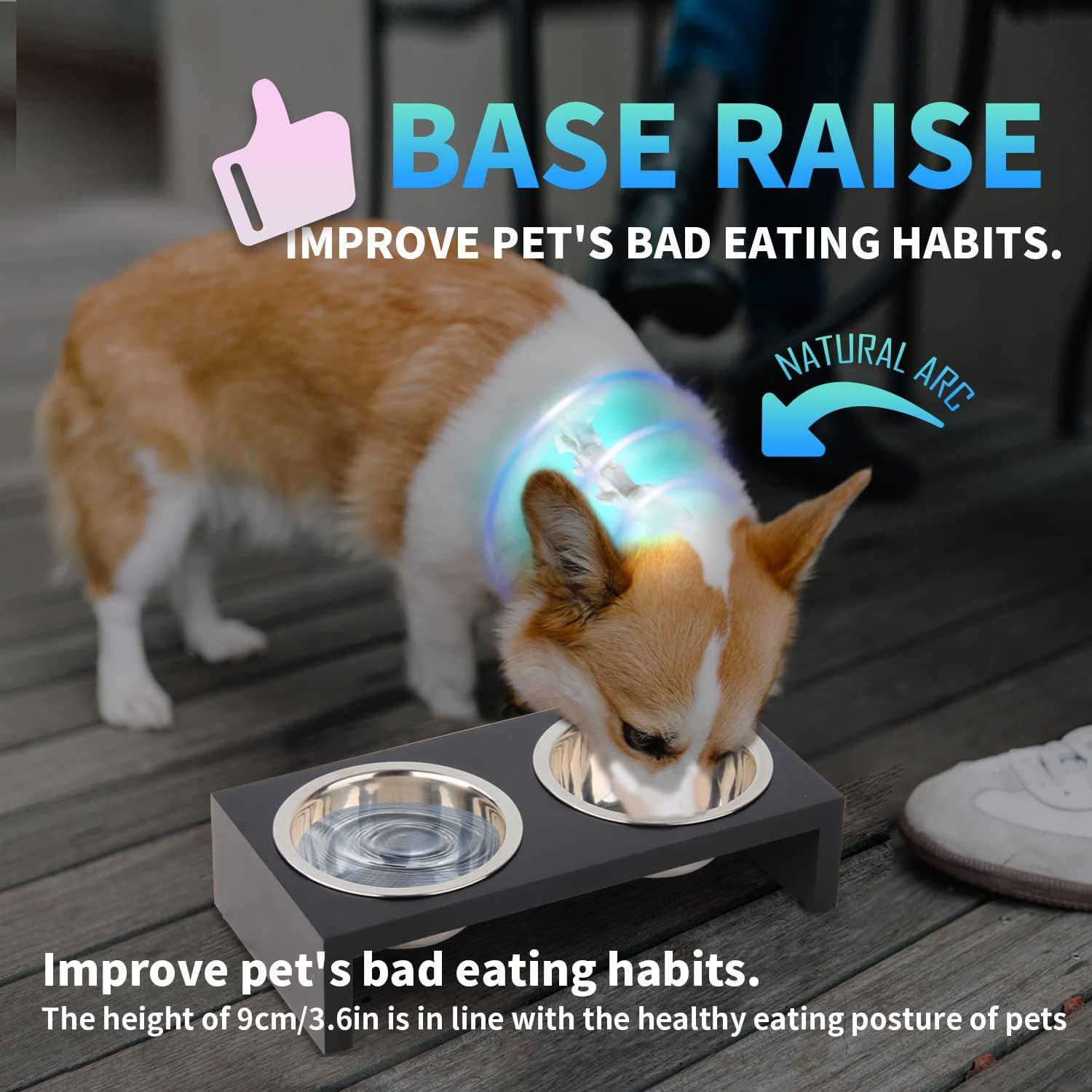 PAWISE Elevated Pet Feeder, Raised Dog Feeder Stainless Steel Bowl