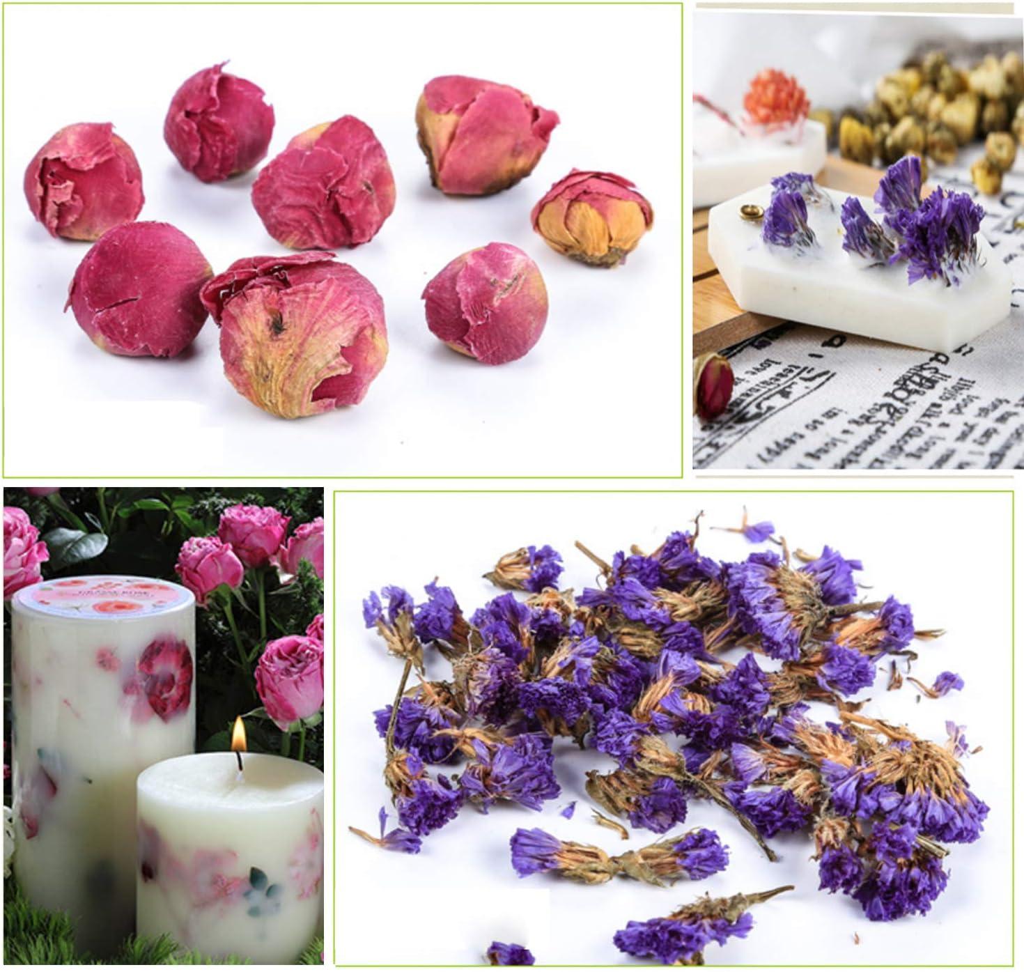 PNANA Dried Flowers- Edible Herbs Bulk of Lavender Buds Rosebud Jasmine  Chamomile for Bath Bomb Candle Soap Making Kit