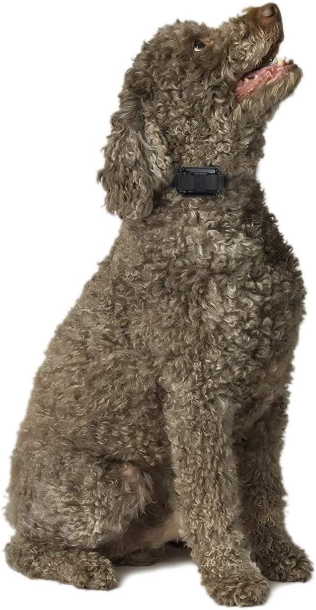 Educator Dog Training Collar Receiver Comfort Pad, Improves Contact