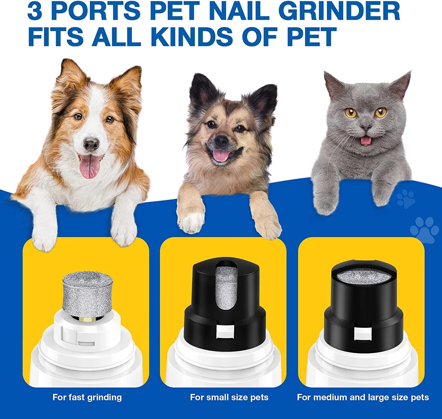 Your Guide to the Best Dog Nail Grinders + Safety Tips - Veterinarians.org