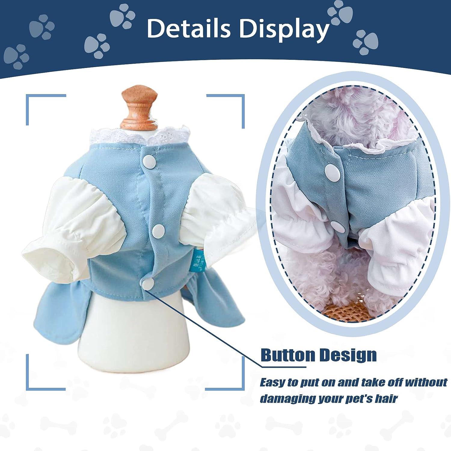 TENGZHI Small Dog Carrot Pocket Blue Lace Princess Dress for Fall & Winter  - Size M (8-10 lbs) | Buy Now with Express International Delivery |  GoSupps.com