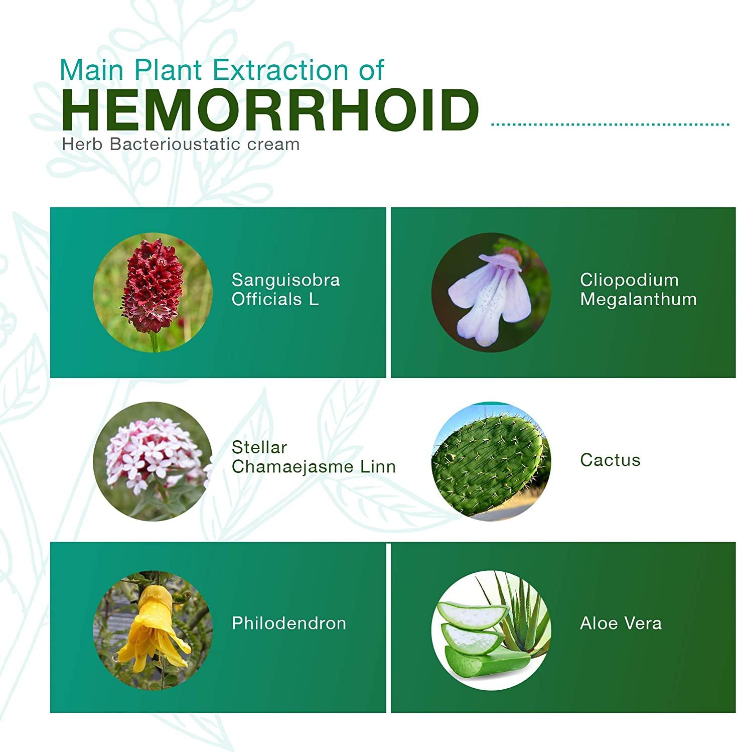 Hemorrhoid & Fissure Ointment for Fast Relief 0.7 Ounce Healing