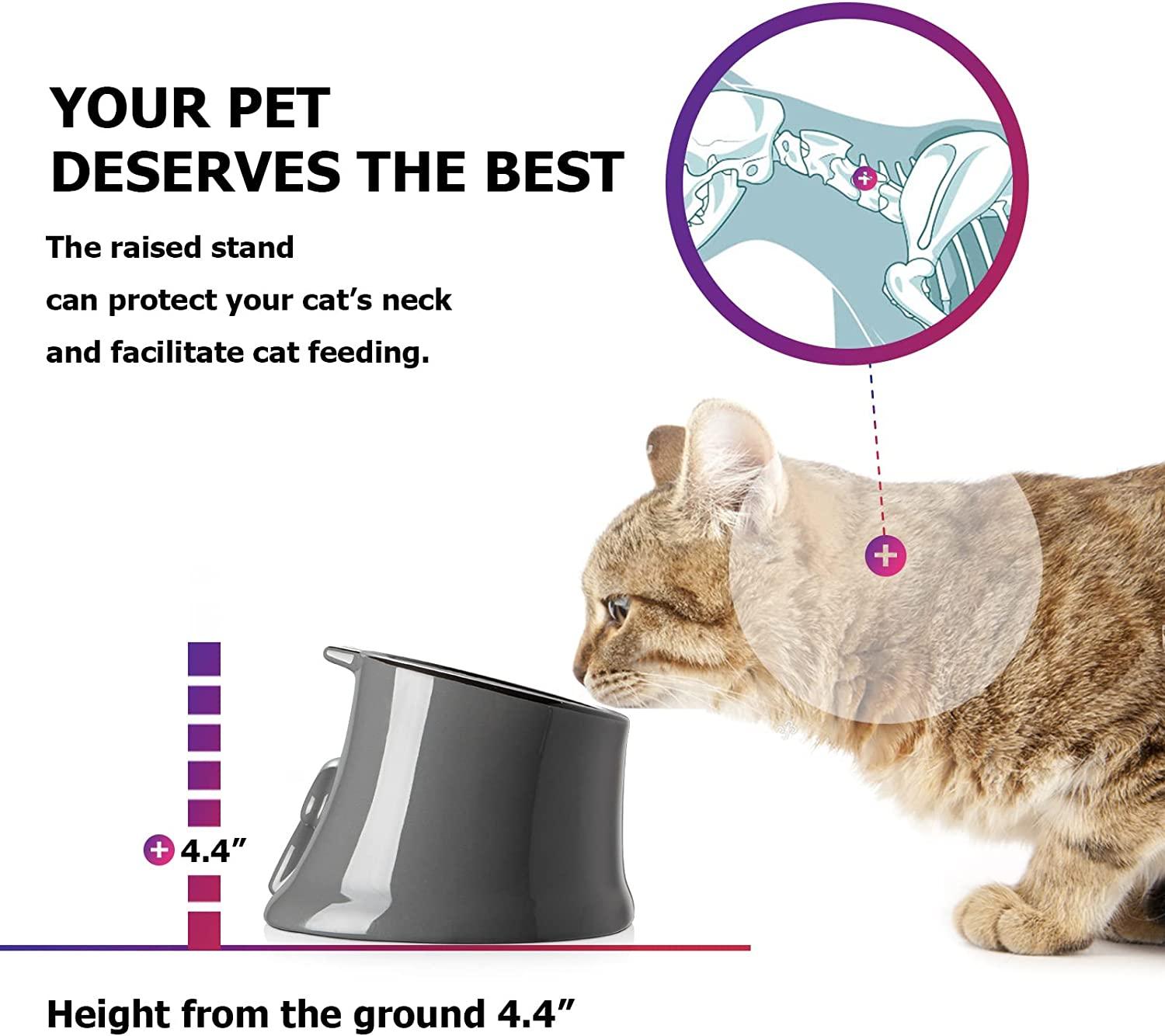 Best slow feeder cat bowl hotsell