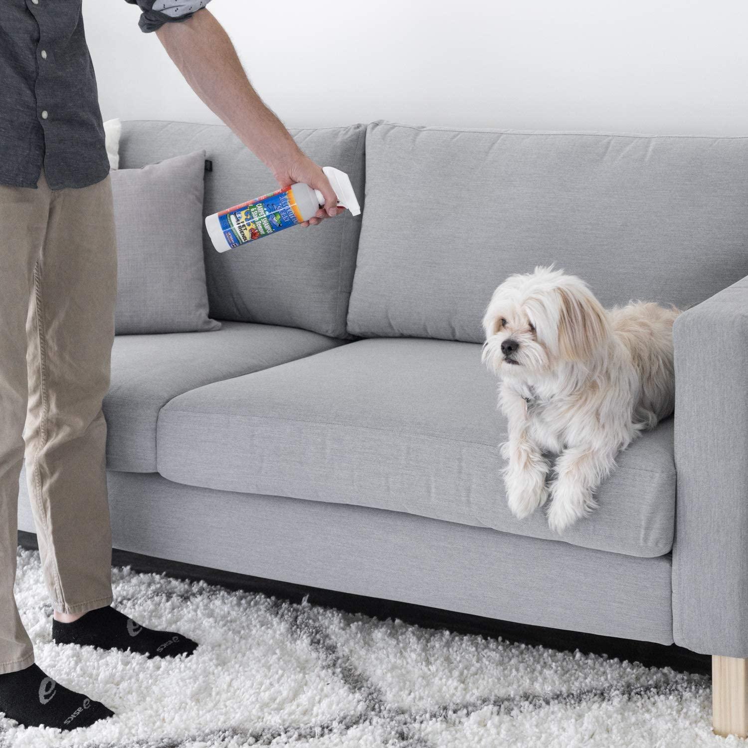 AMAZING CARPET SHAMPOO FOR PETS Natural Enzymes Remove Most Stains in