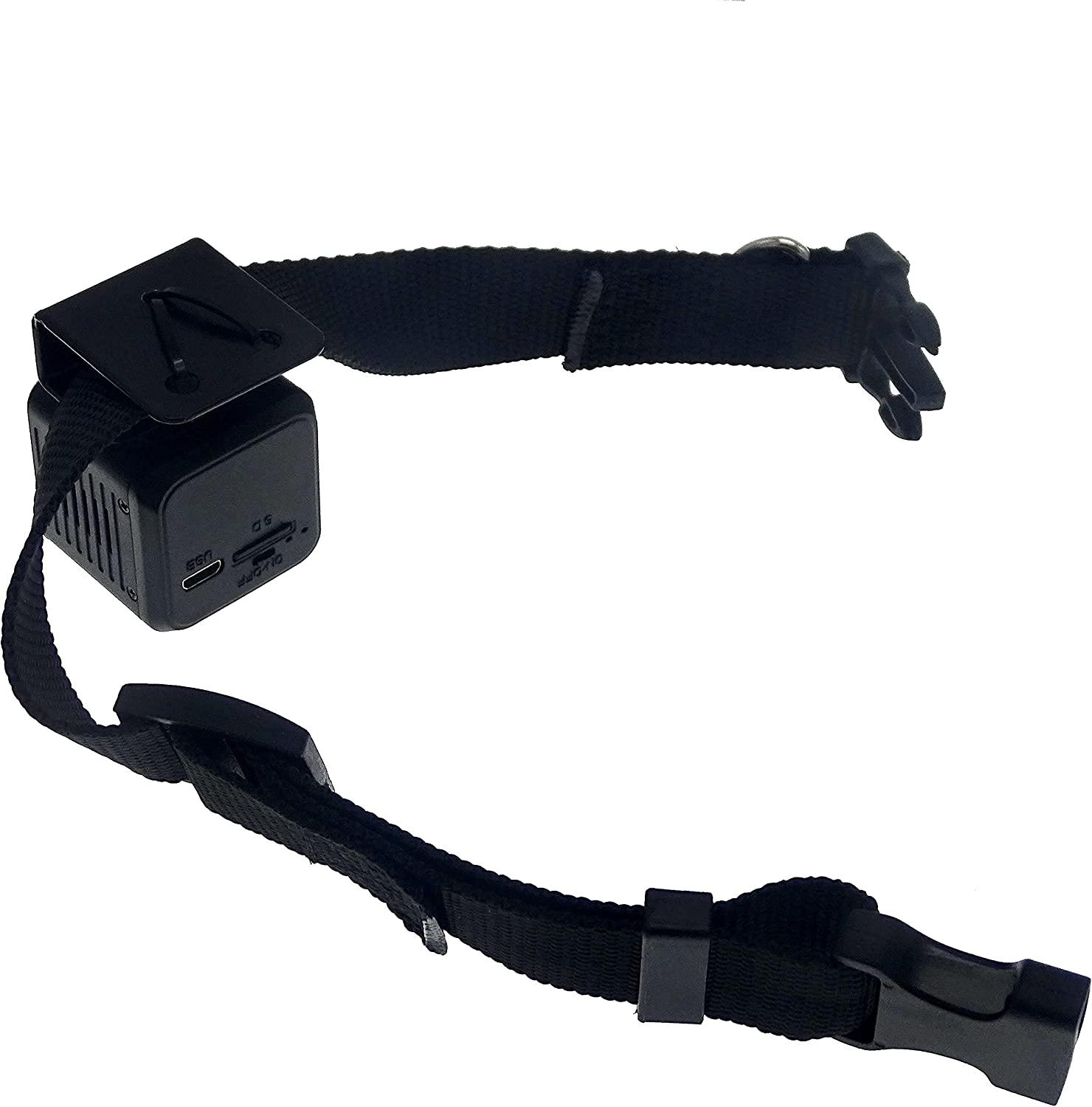 Wireless Rechargeable WiFi Pet Collar Camera Recorder Tracker 720P HD