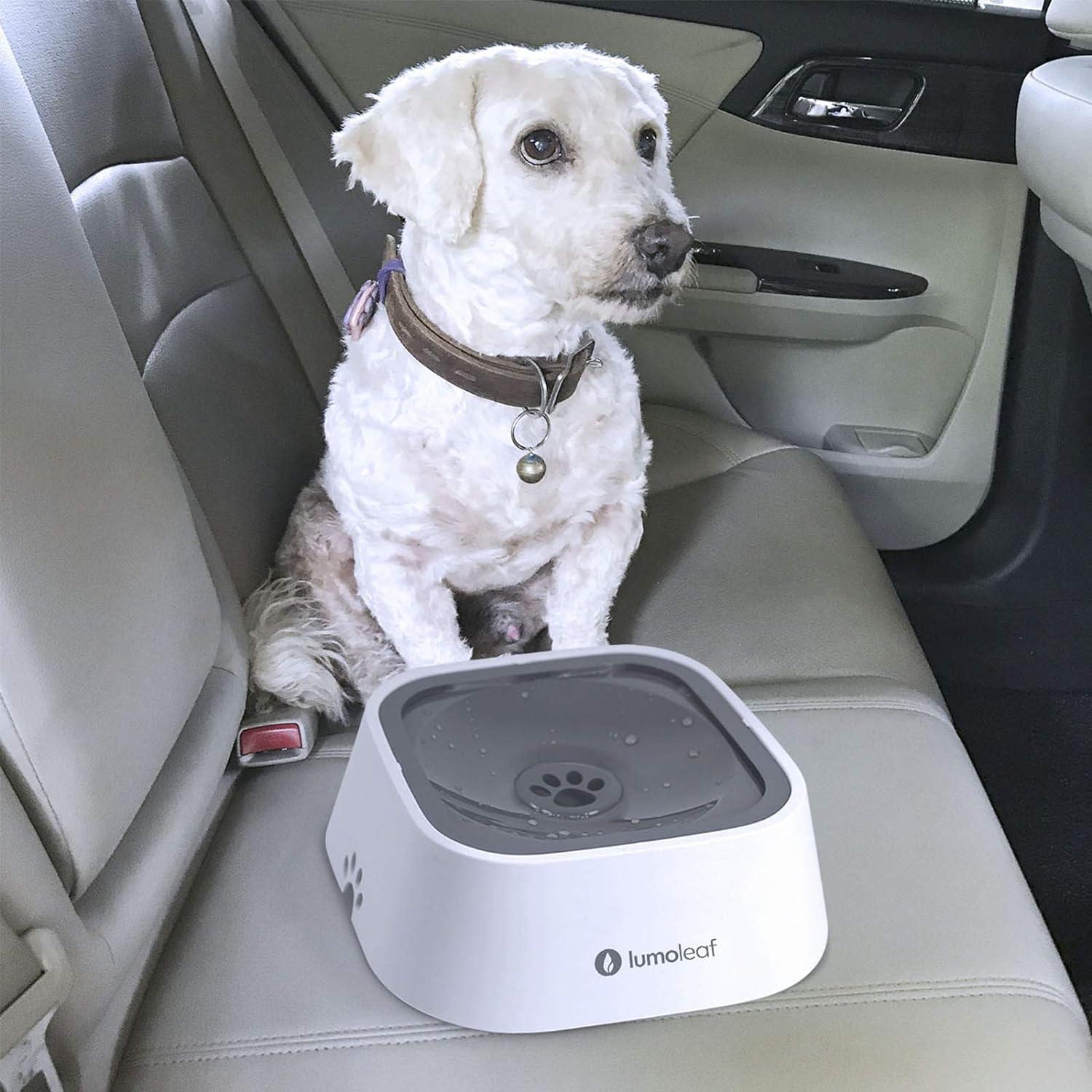 best cat litter box system Automatic Litter Box Pro Smart Self Cleaning System for Cats  Furrytailpet