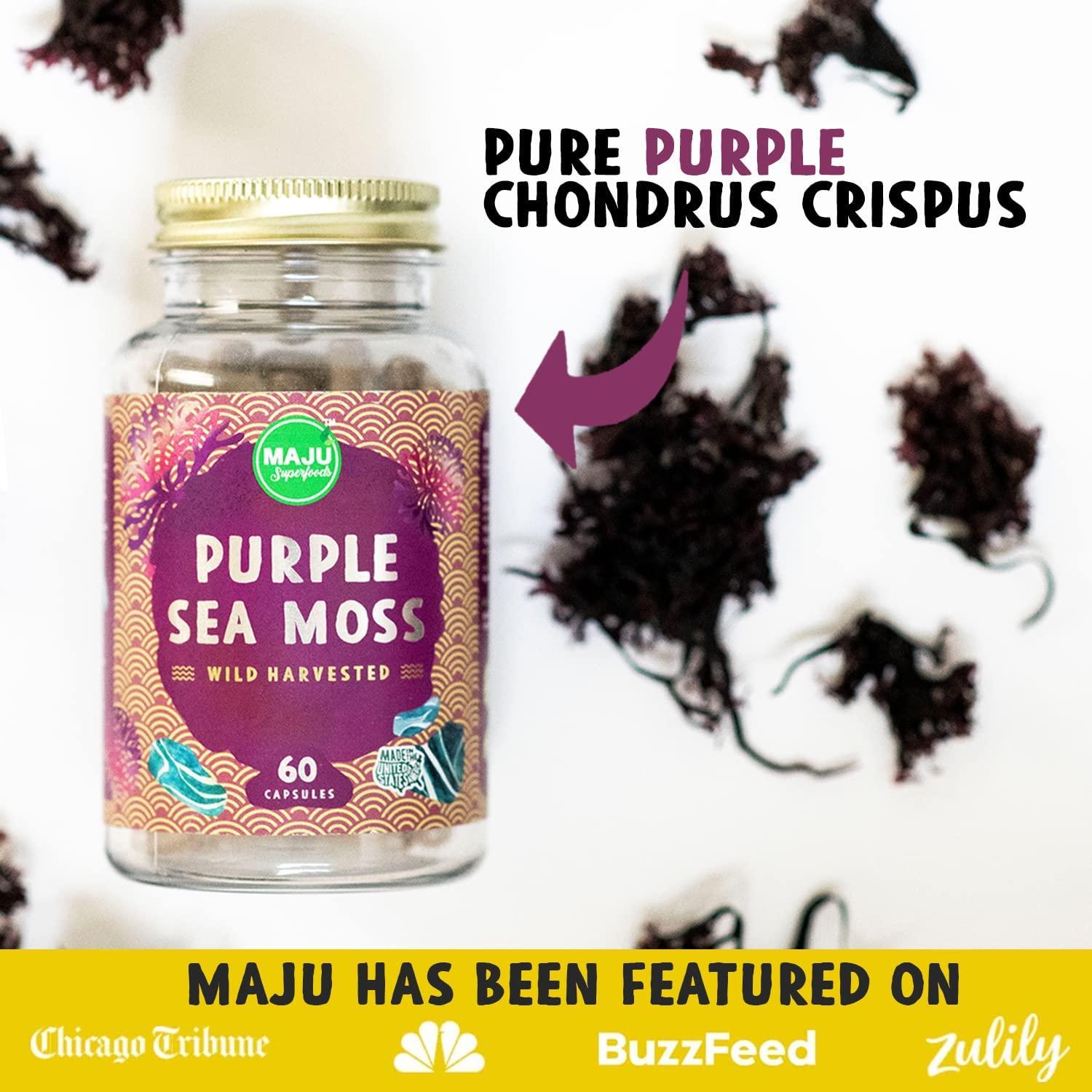 Maju Purple Sea Moss Capsules Authentic Raw Chondrus Crispus All