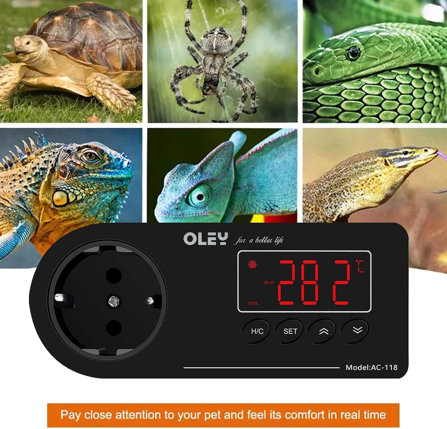 Digital Temperature Controller with NTC Sensor - Thermostat for ...