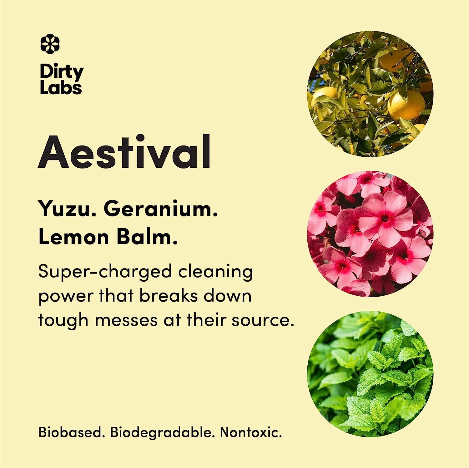 Dirty Labs Dishwasher Detergent and Booster Aestival Scent 48