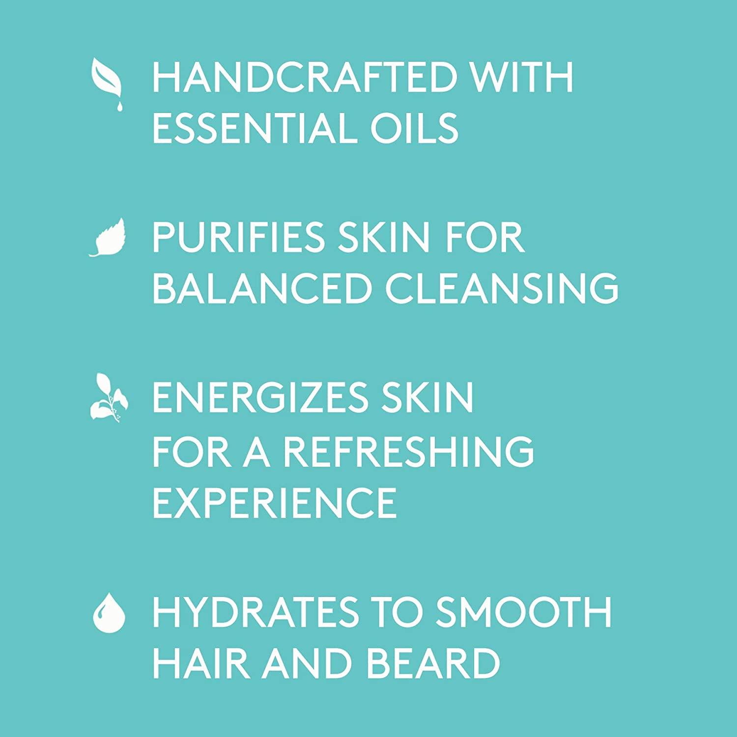 Barrel and Oak AllInOne Body Wash, Men's Body Wash, Men's Soap for