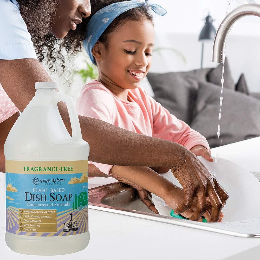 Ginger Lily Farms Botanicals PlantBased Liquid Dish Soap 1 Gallon