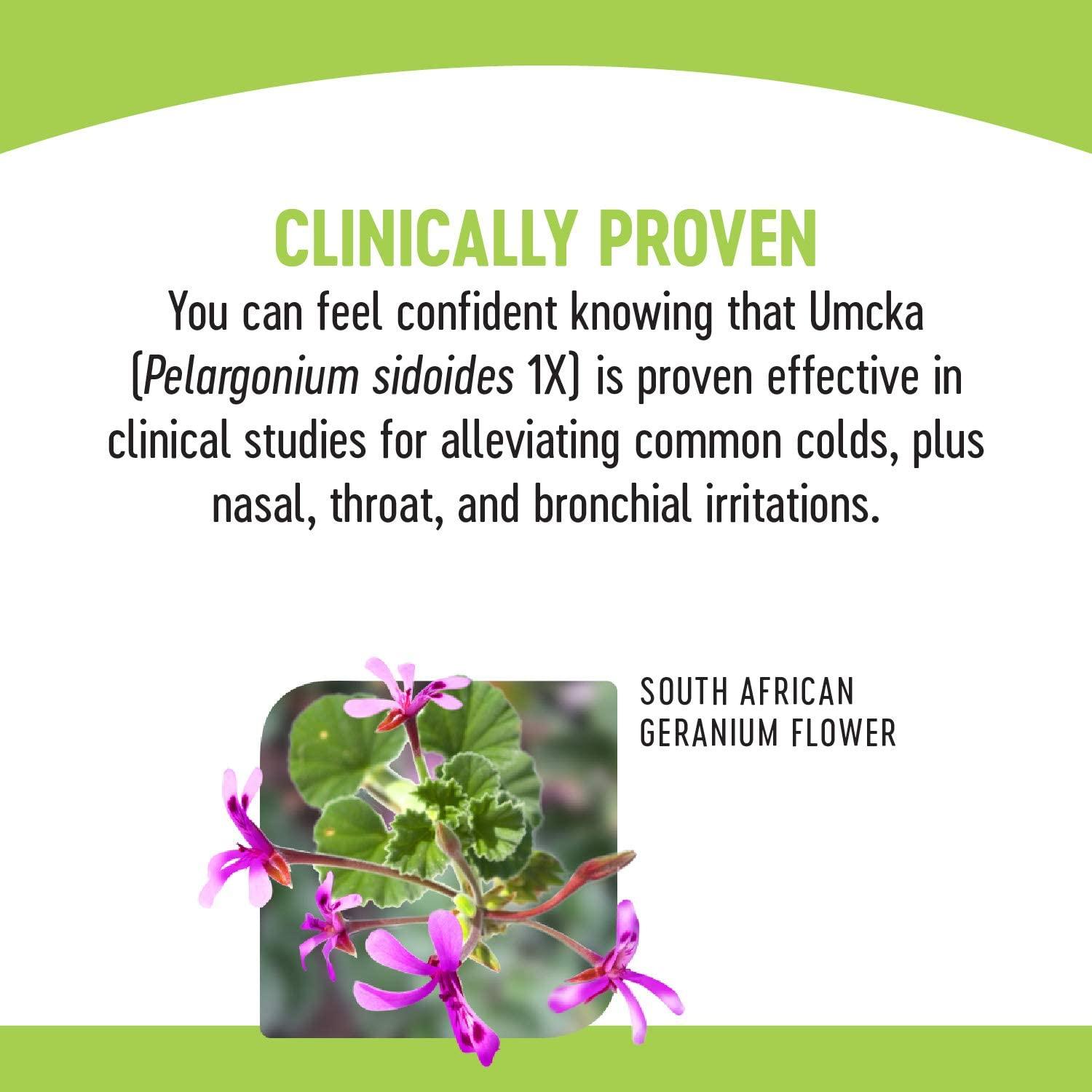 Nature's Way Umcka Allergy and Sinus Relief, Cherry Flavored, 20 Tablets