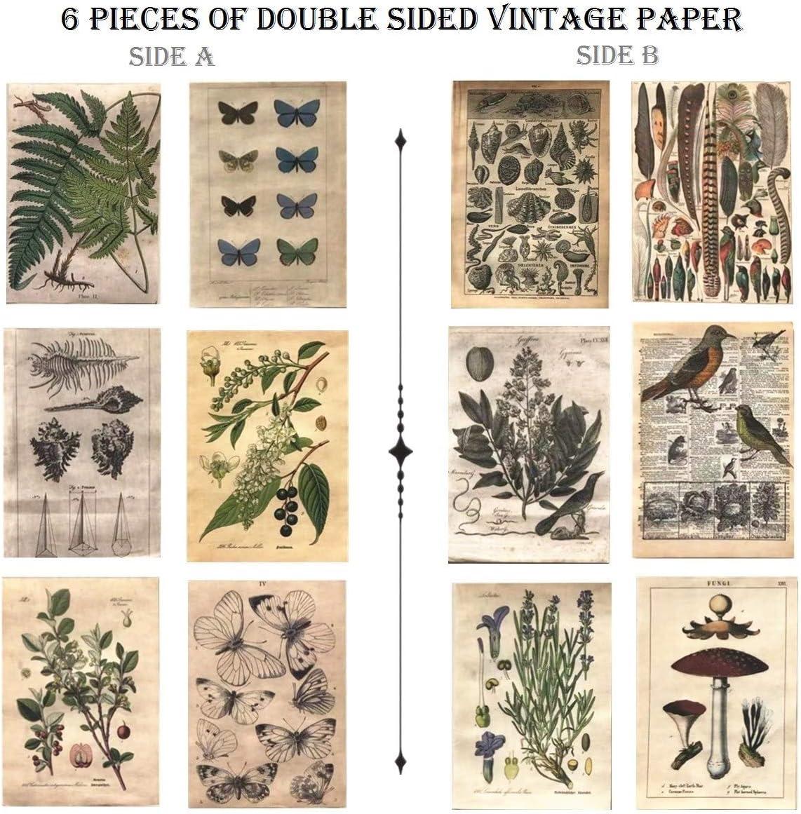DESEACO Vintage Aesthetic Posters for Room Aesthetic Wall Decor Plant  Journal Green Room Decor for Teen Girls Botanical Wall Art in Nature  Journal Cute Journaling Supplies Aesthetic Collage Kit