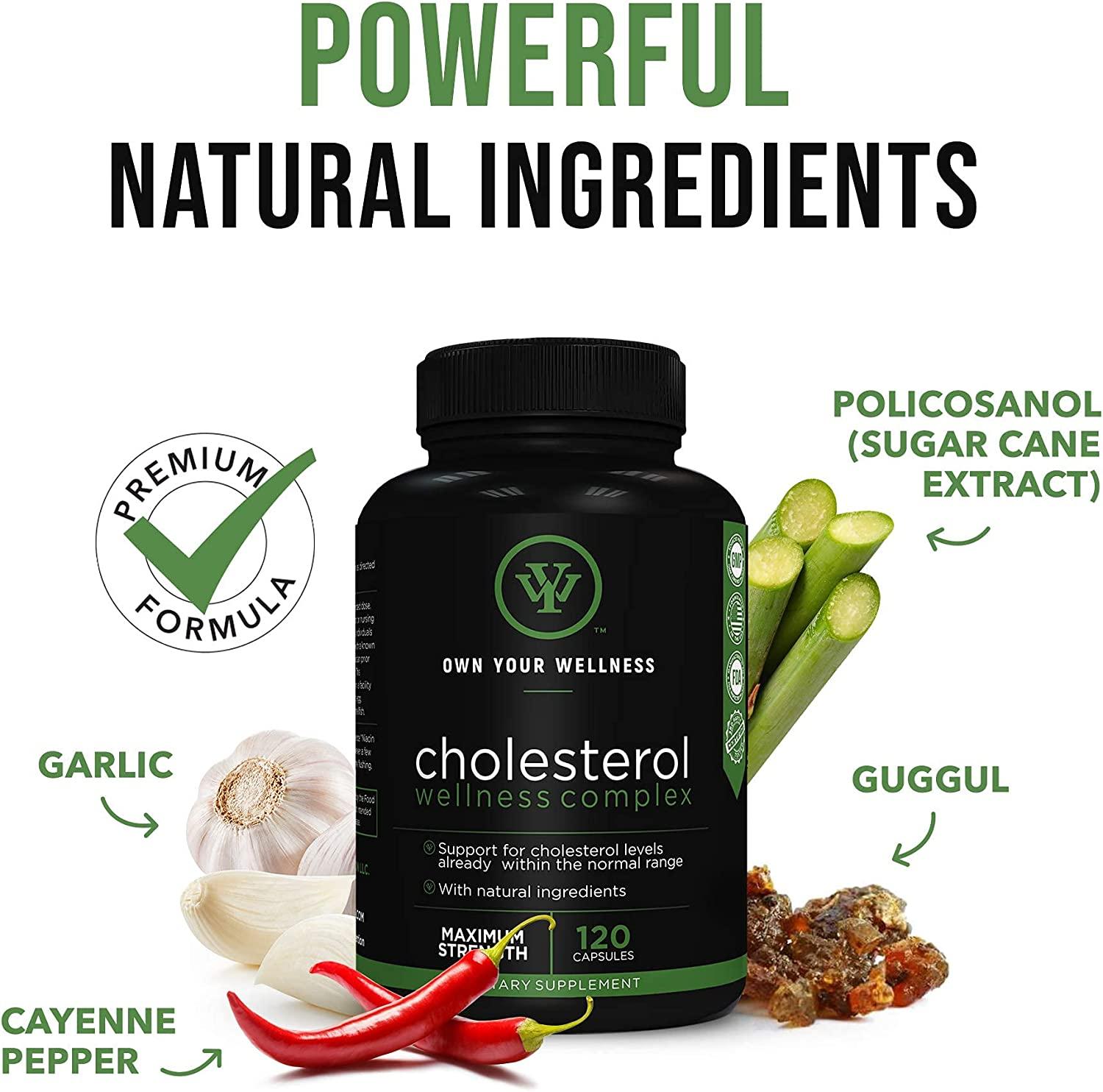 Cholesterol Wellness Complex 120 Capsules for Blood Circulation