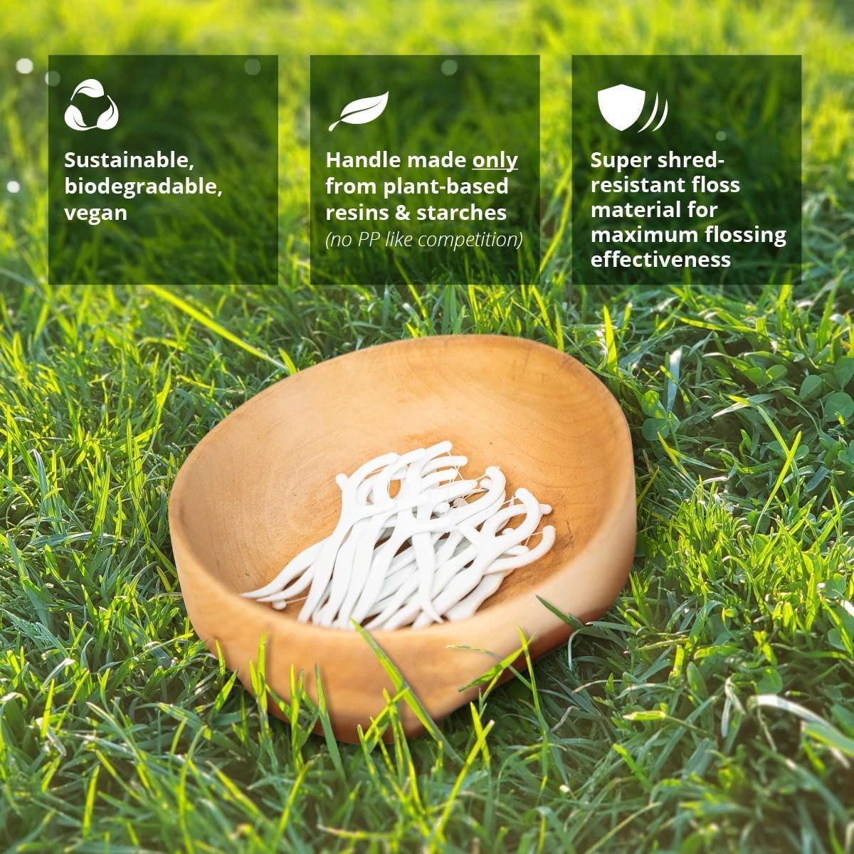 Clean Idea EcoFlosser 300 Biodegradable Floss Picks for Sustainable Dental Care