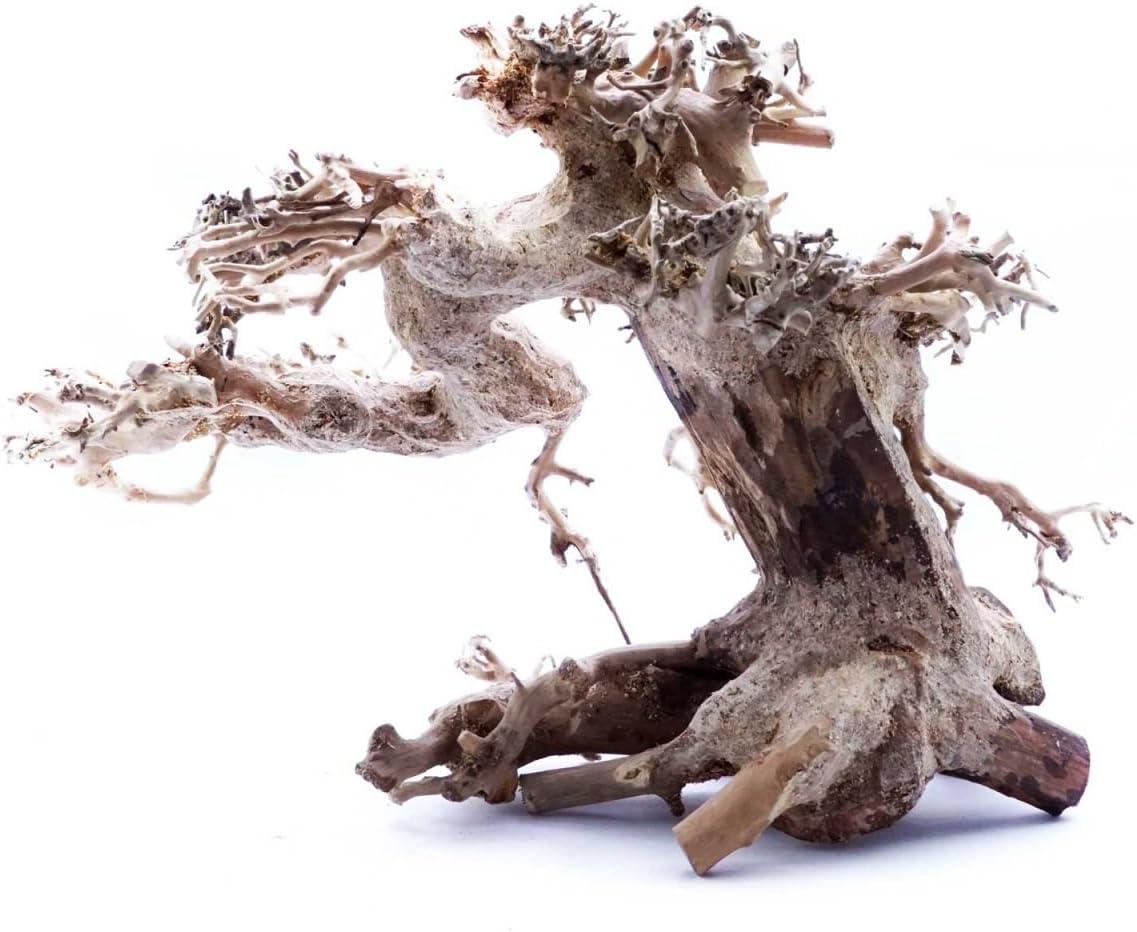 Superfish Natural Wood Bonsai Driftwood Small 23x12x15