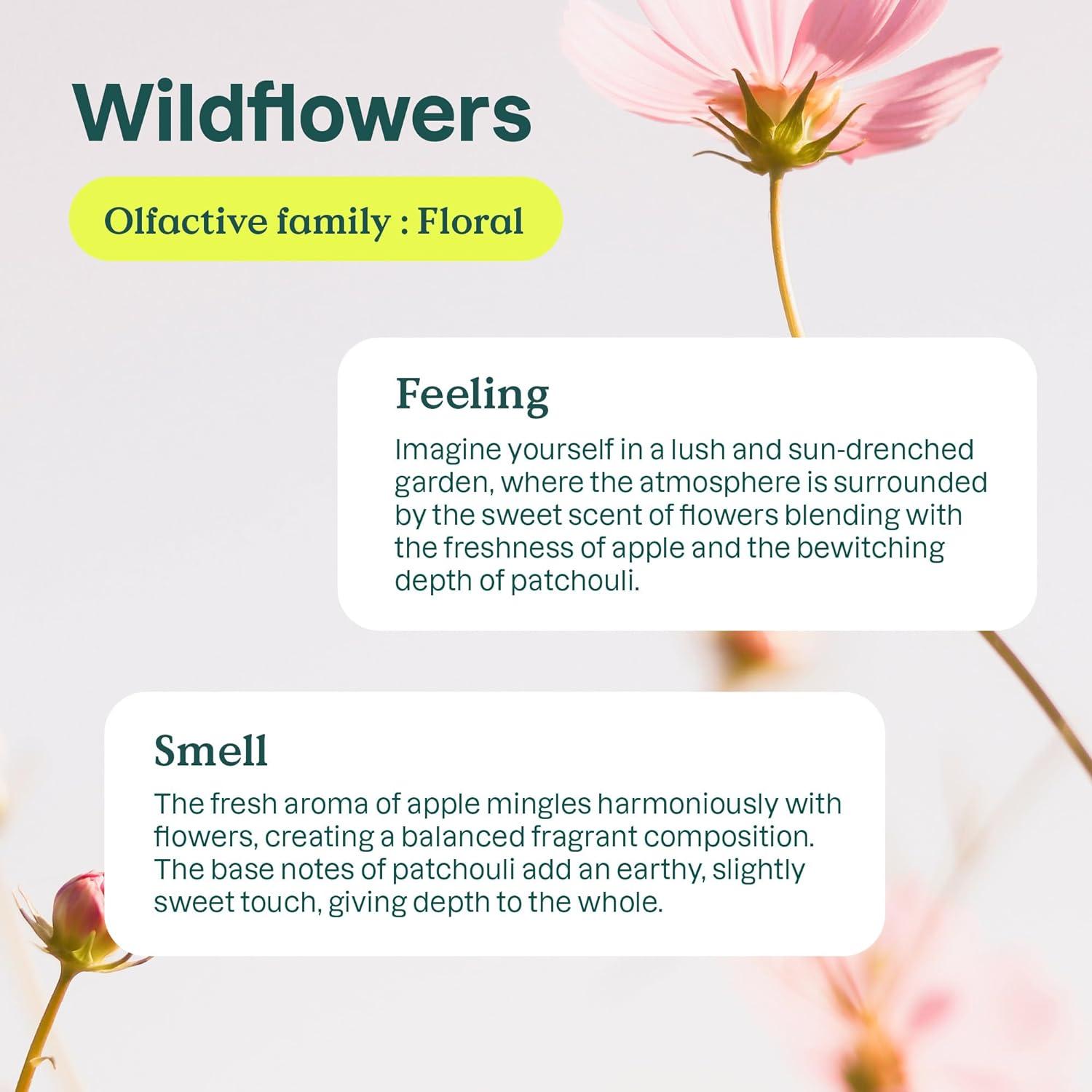 ATTITUDE Liquid Laundry Detergent EWG Verified Laundry Soap HE