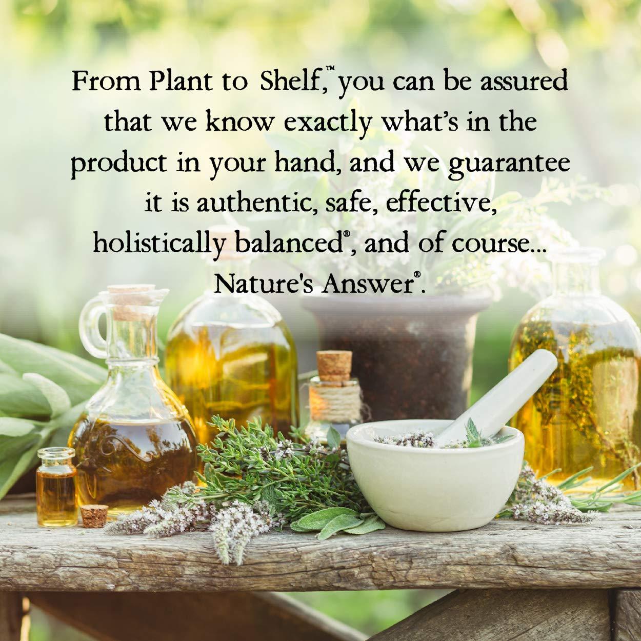 Nature's Answer Oil of Oregano Leaf Supports Healthy Intestinal & Digestive Function