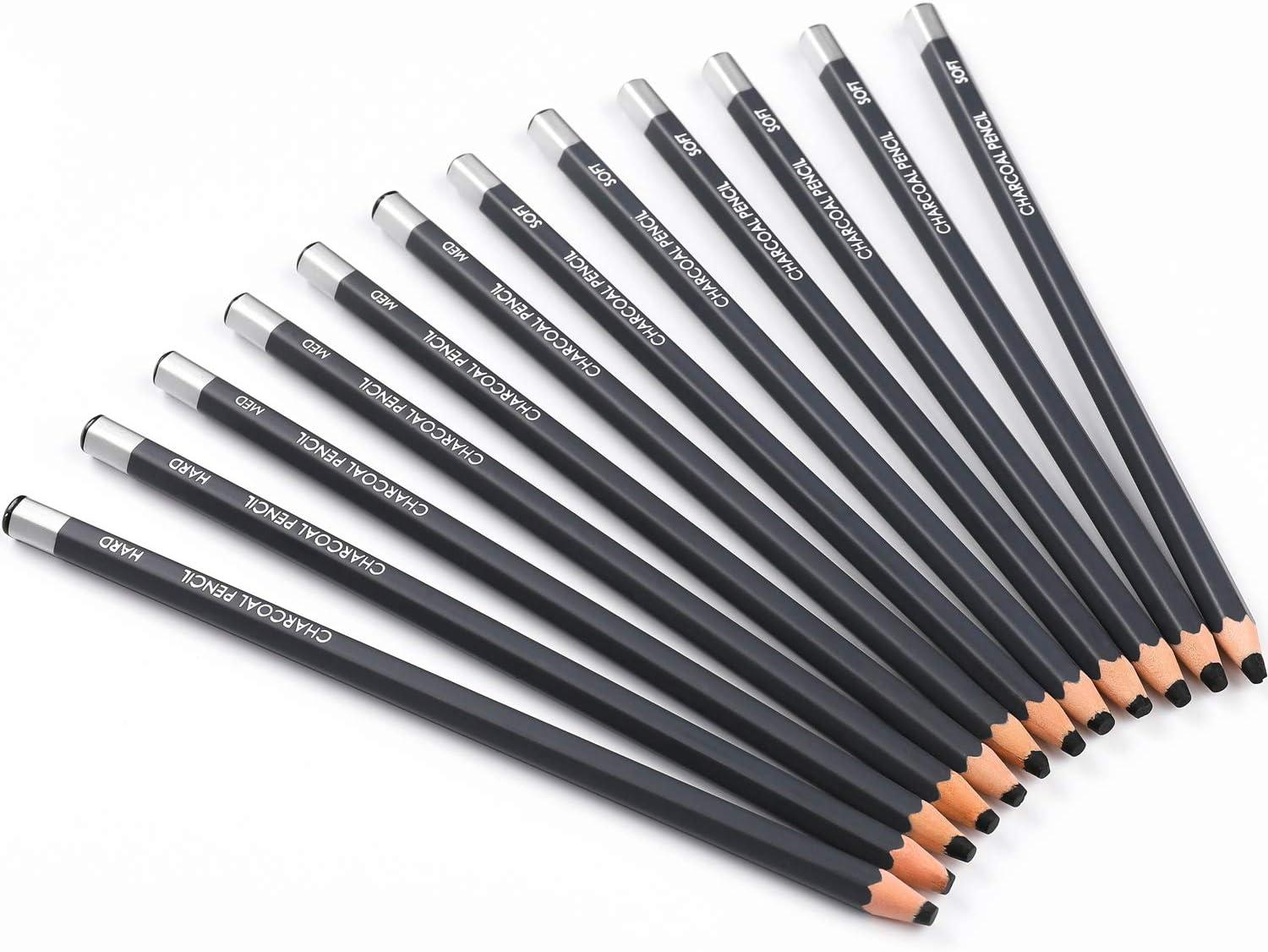Sunshilor Professional Charcoal Pencils Drawing Set - 12 Pieces Soft Medium  and Hard Charcoal Pencils for Drawing Sketching Shading Artist Pencils for  Beginners & Artists