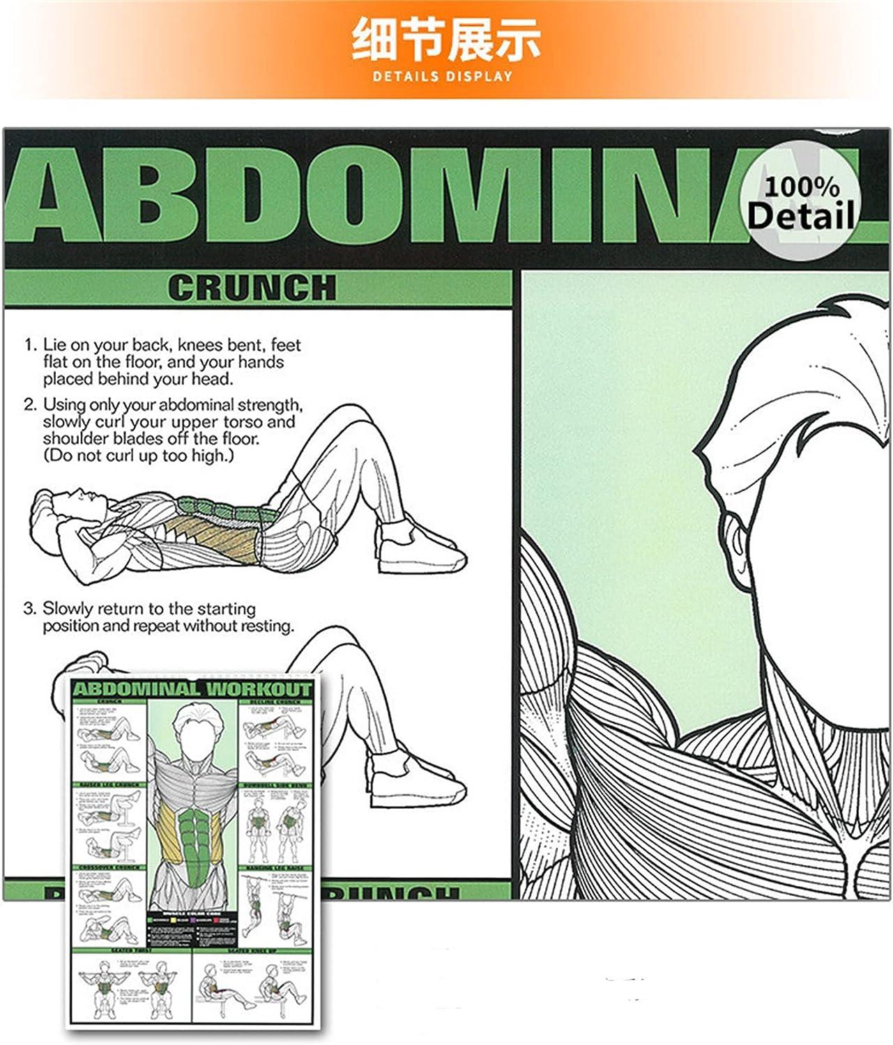 6PCS Workout Chart Posters for Home Gym Fitness Dumbbell Exercise