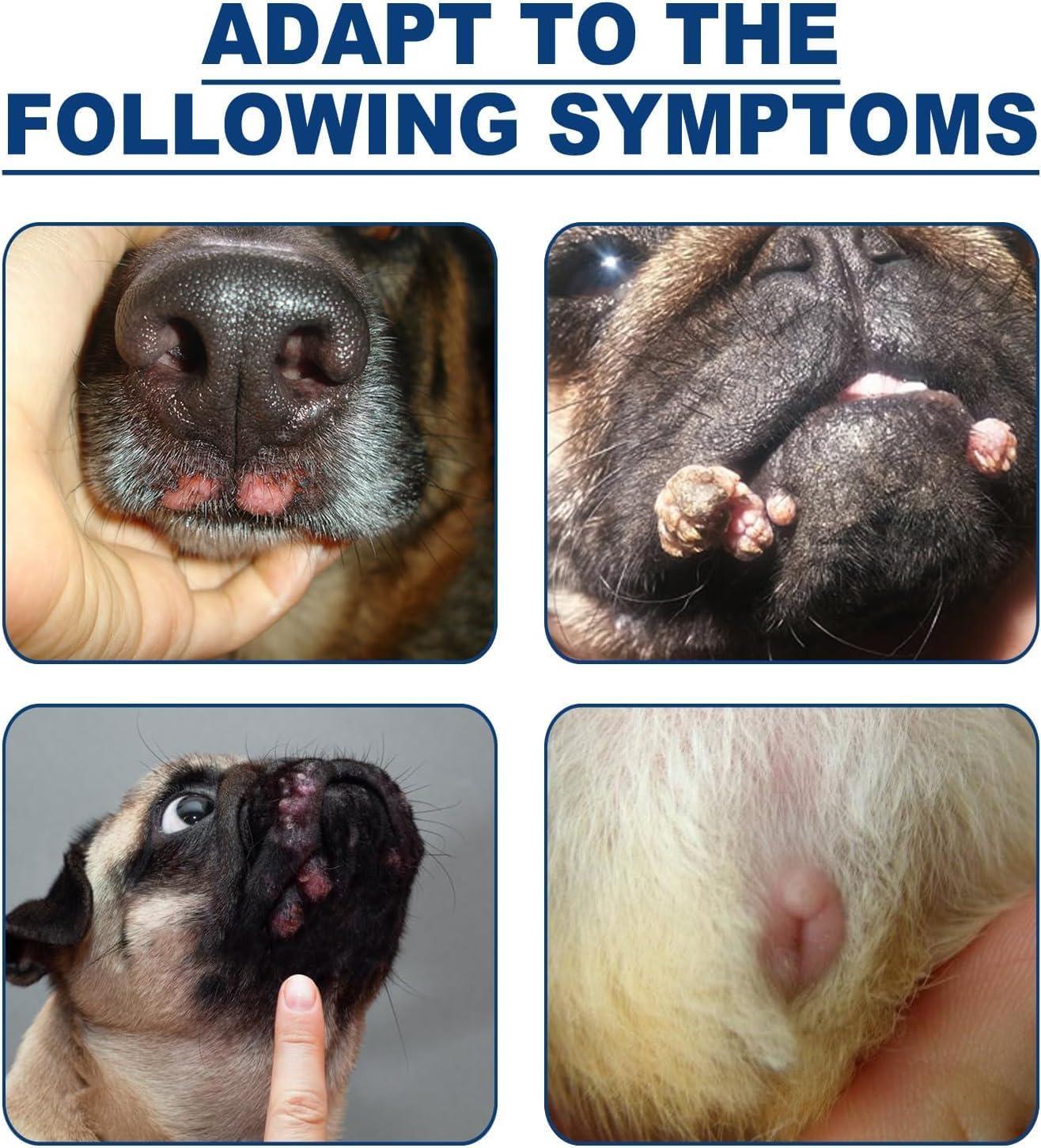 1/2/3/4/5Pcs Natural Dog Wart Removal Treatment Dog Wart Remover