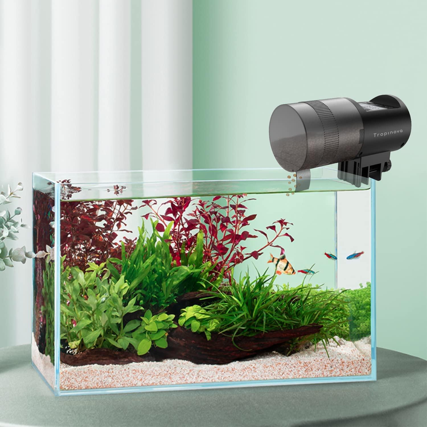 Automatic tropical fish feeder discount
