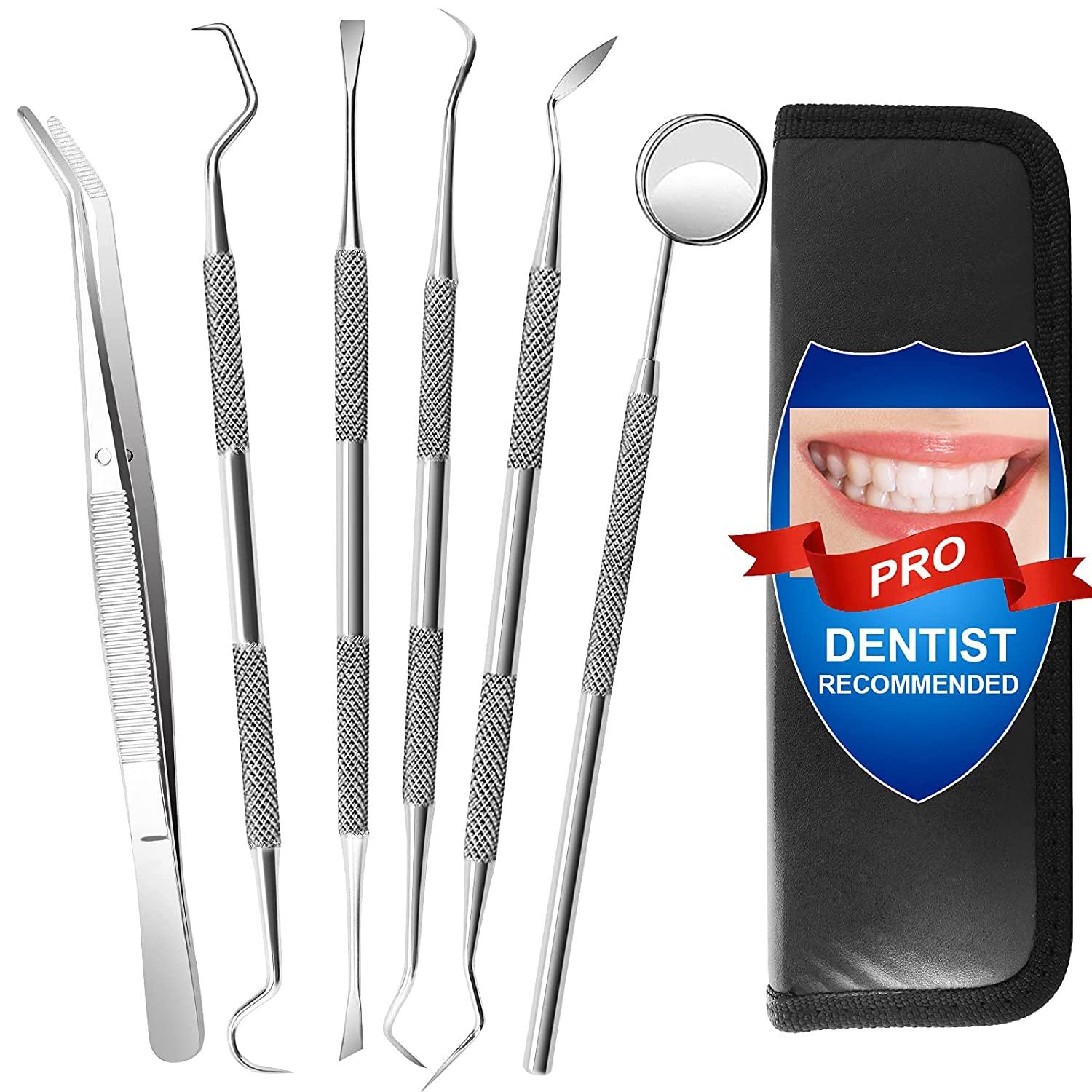 6 Pack Dental Tools, Professional Dentist Tool Hygiene Kit, Stainless Steel  Tooth Scraper Cleaning Plaque and Tartar Remover for Teeth, Dental Picks  Scaler Oral Care Tools Set (with Case) 6 Pack Dental