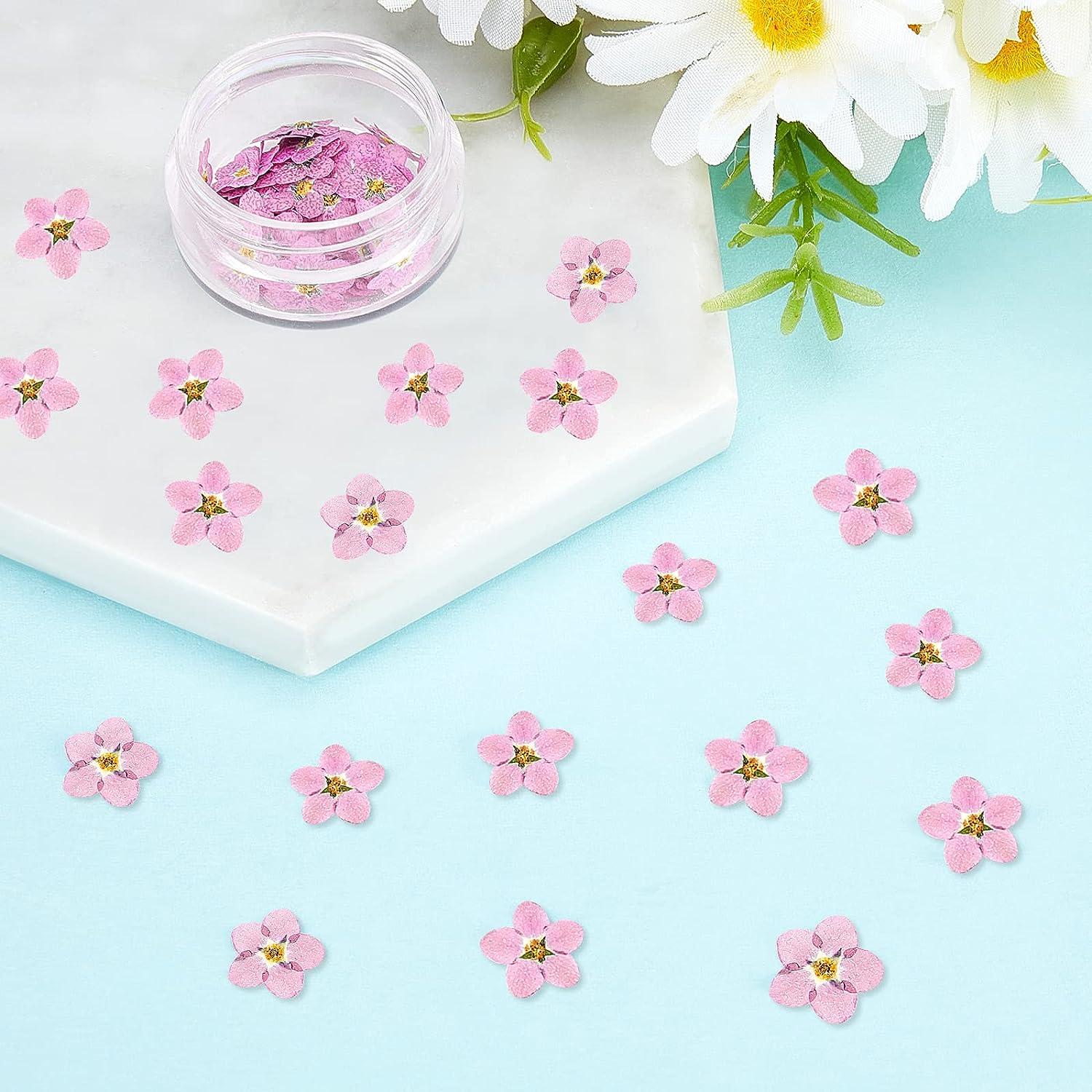100pcs,Natural Pressed forget-me-not flowers with Stem,Real Dried Flower  for DIY Wedding invitation Craft Bookmark Gift Cards