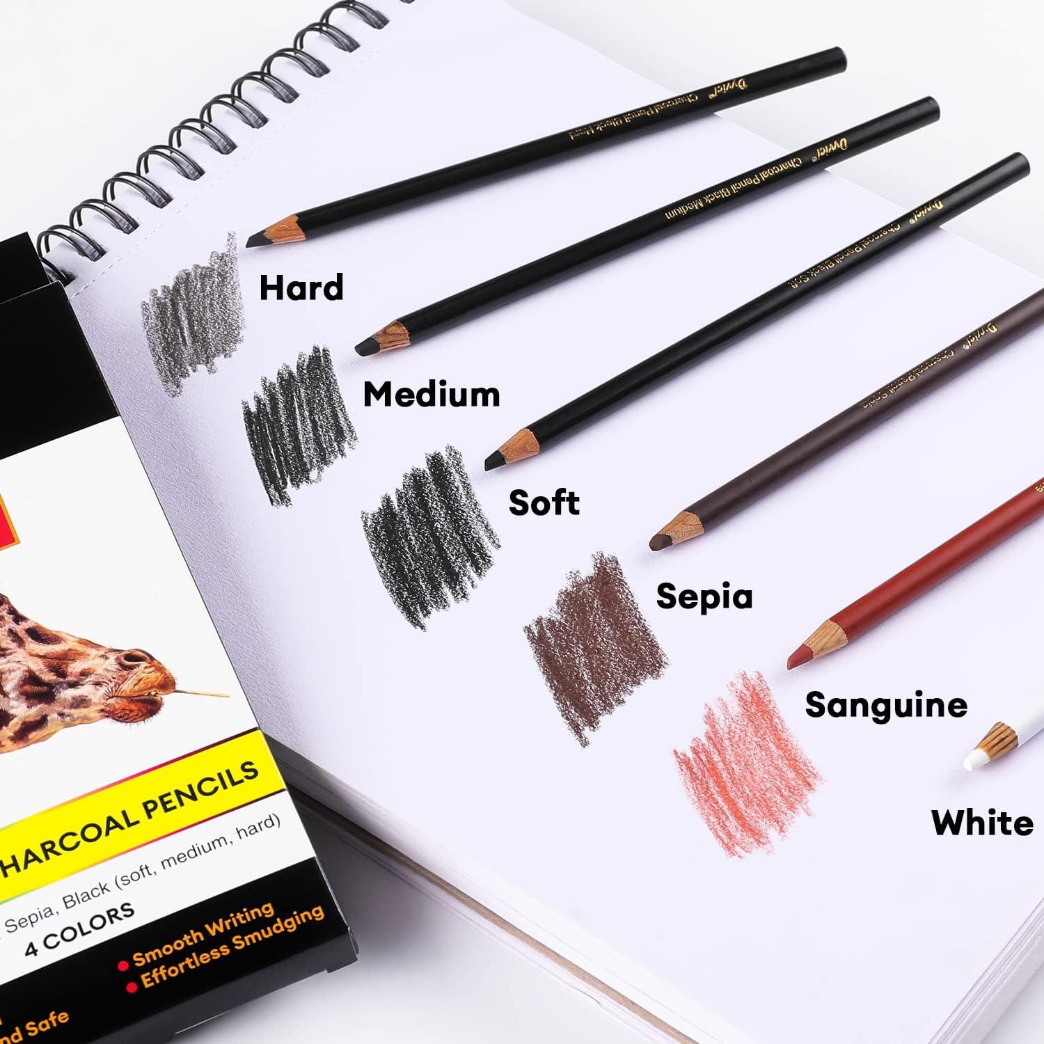 Dyvicl Professional Charcoal Pencils Drawing Set - 12 Pieces Soft, Medium &  Hard Charcoal Pencils for Drawing, Sketching, Shading, Artist Pencils for