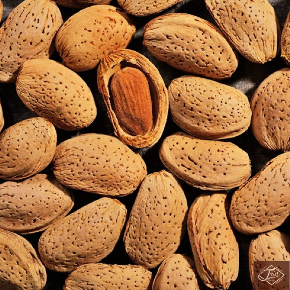 In Shell Raw California Almonds (2 lbs) Farm Fresh Nuts Brand Vegan & Keto Friendly