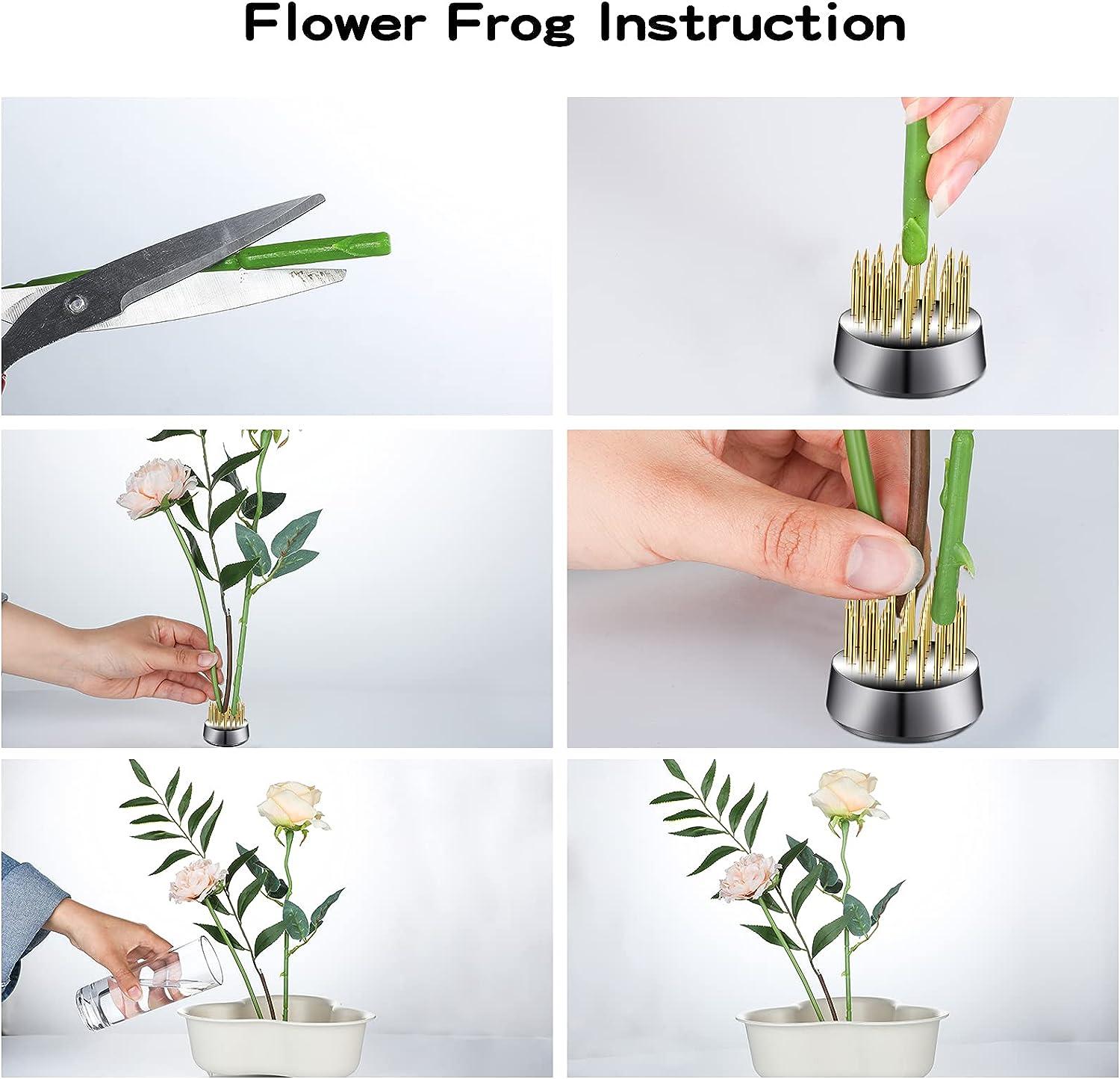 Gdstiac 3pcs Flower Frog Round Flower Arranger Frog Flower Fixed Tools  Japanese Flower Holder Flower Frogs for Arrangements (0.91 Inch 1.34 Inch  2.36 Inch)